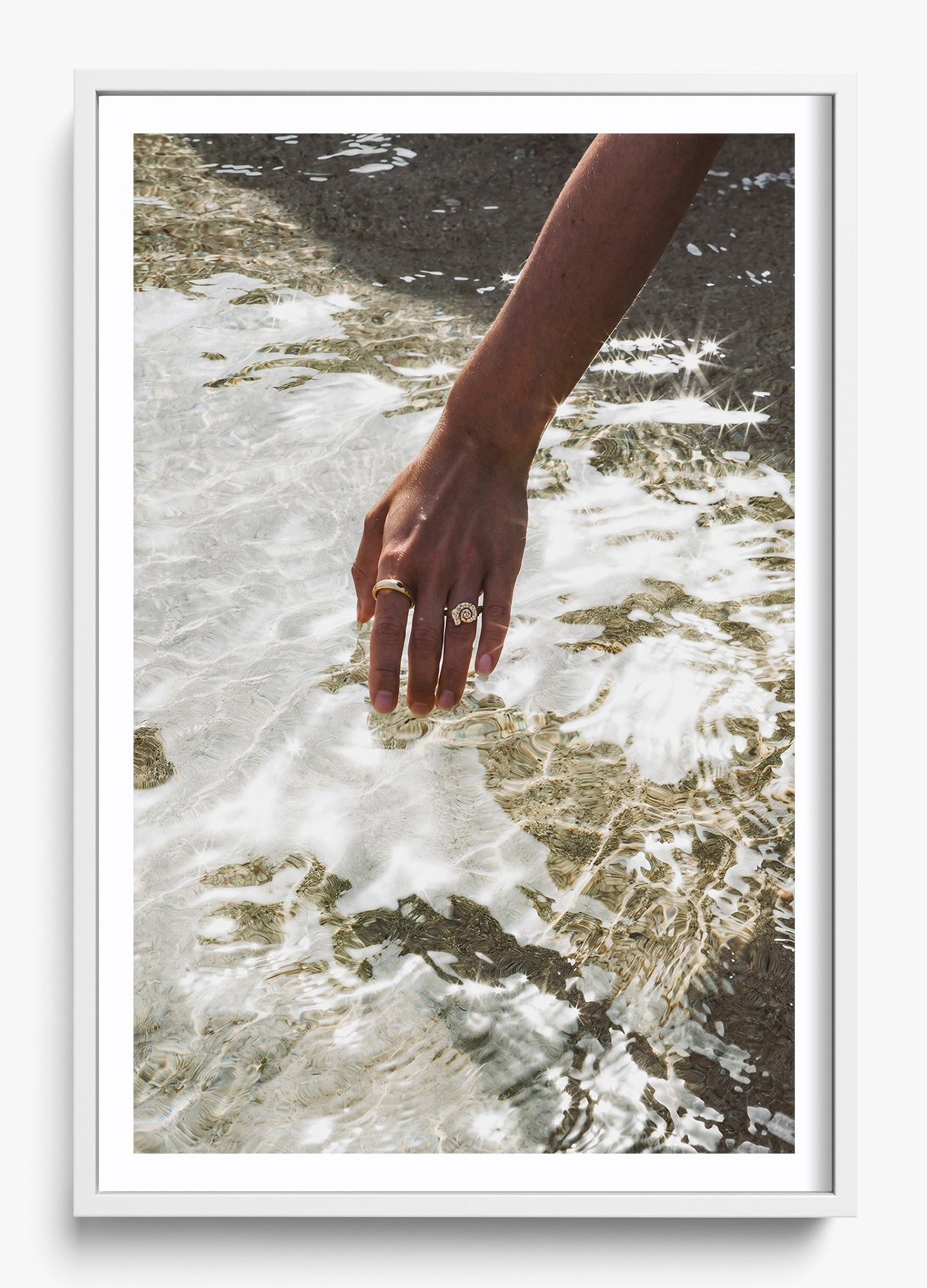 Catching Sea Stars