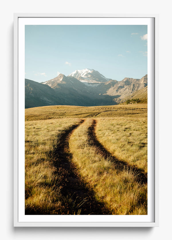 Nature Drive in a White frame