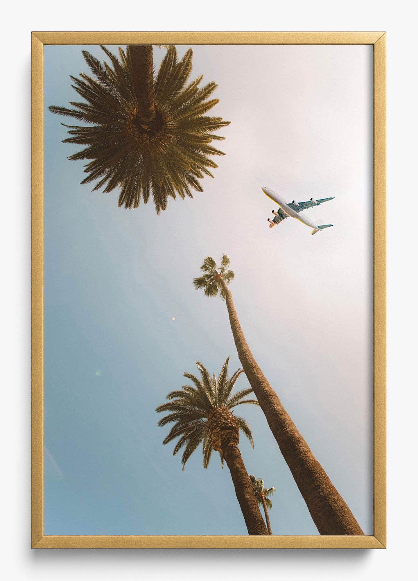 Come Fly With Me