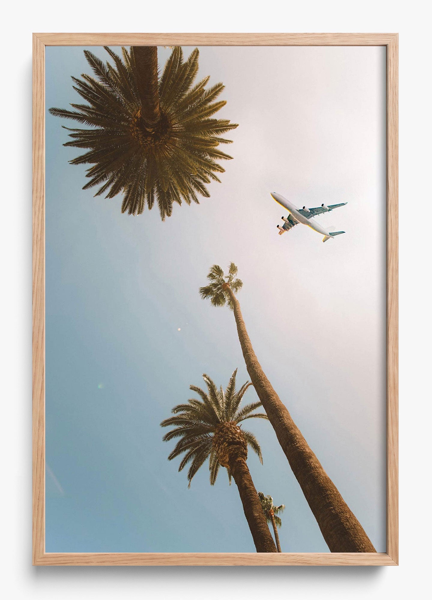 Come Fly With Me
