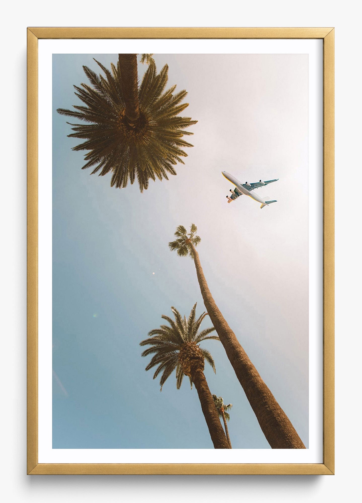 Come Fly With Me