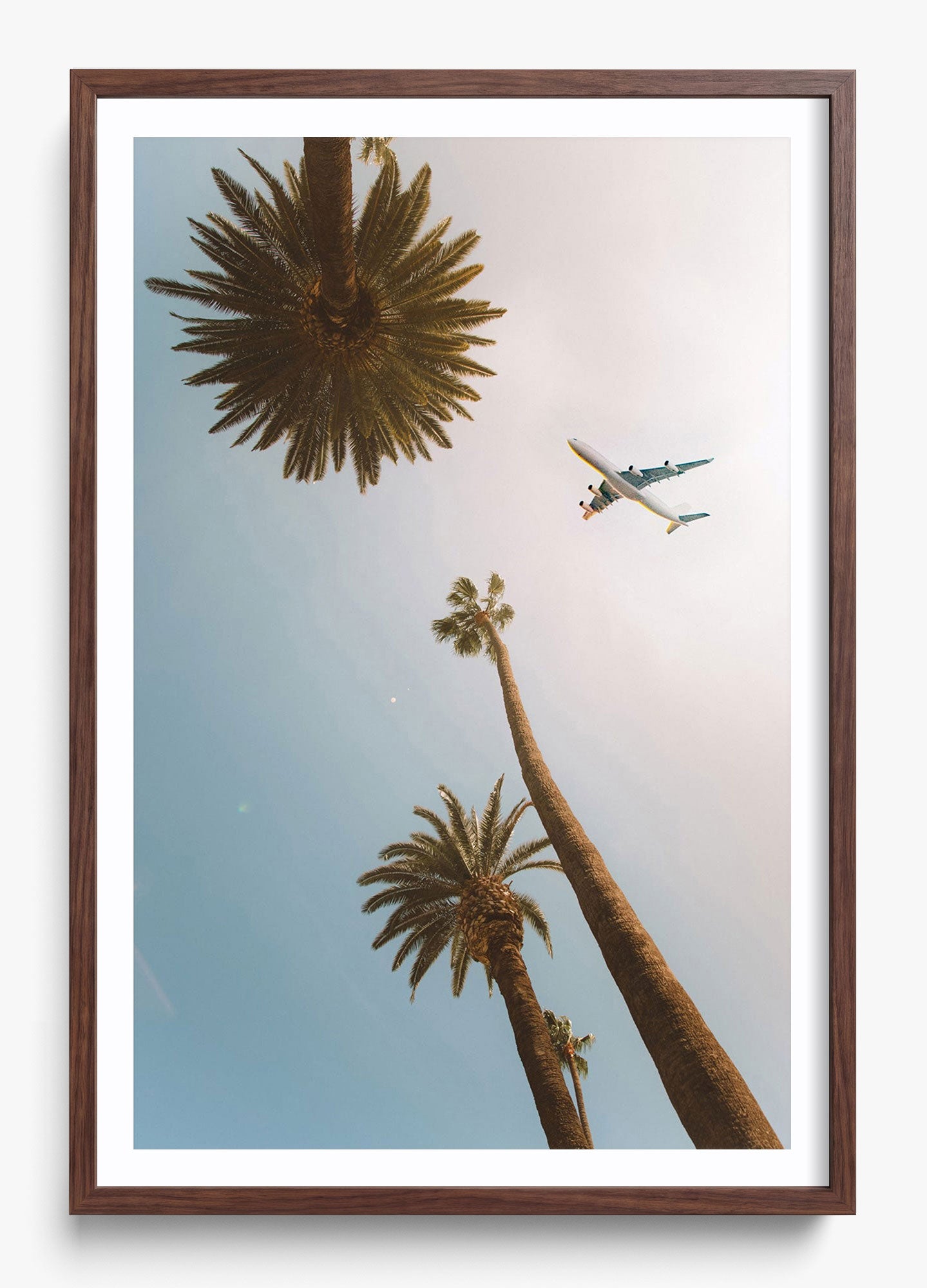 Come Fly With Me