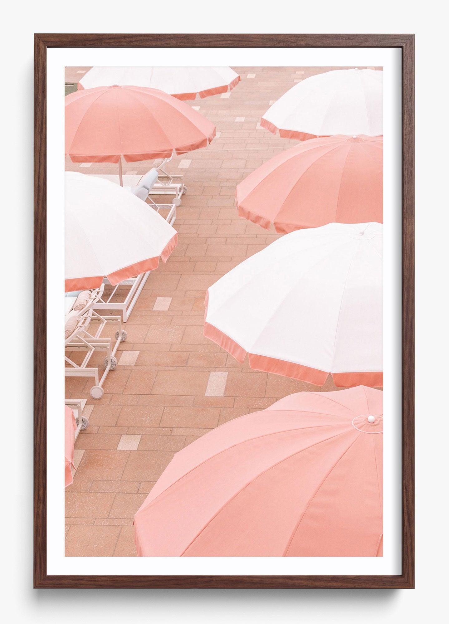 Coral Umbrellas