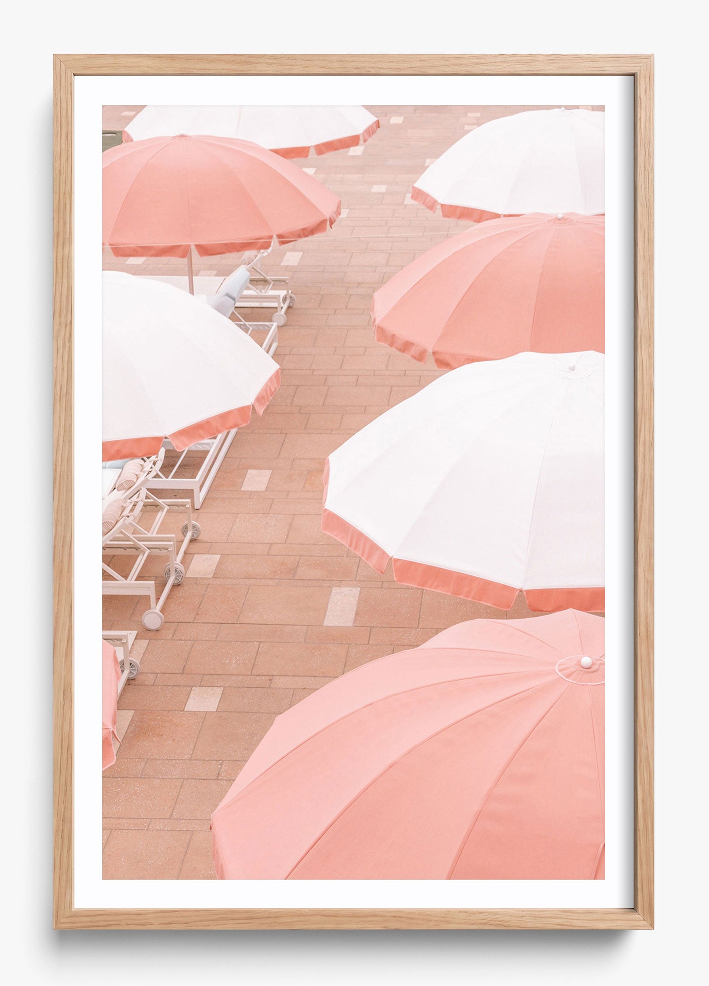 Coral Umbrellas