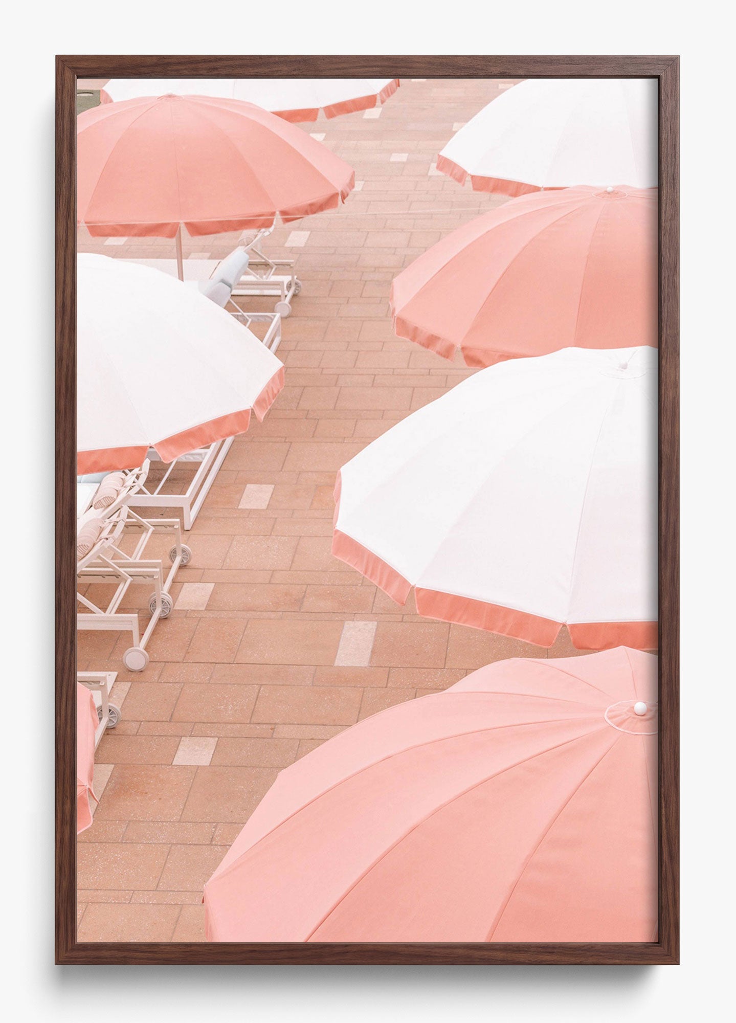 Coral Umbrellas