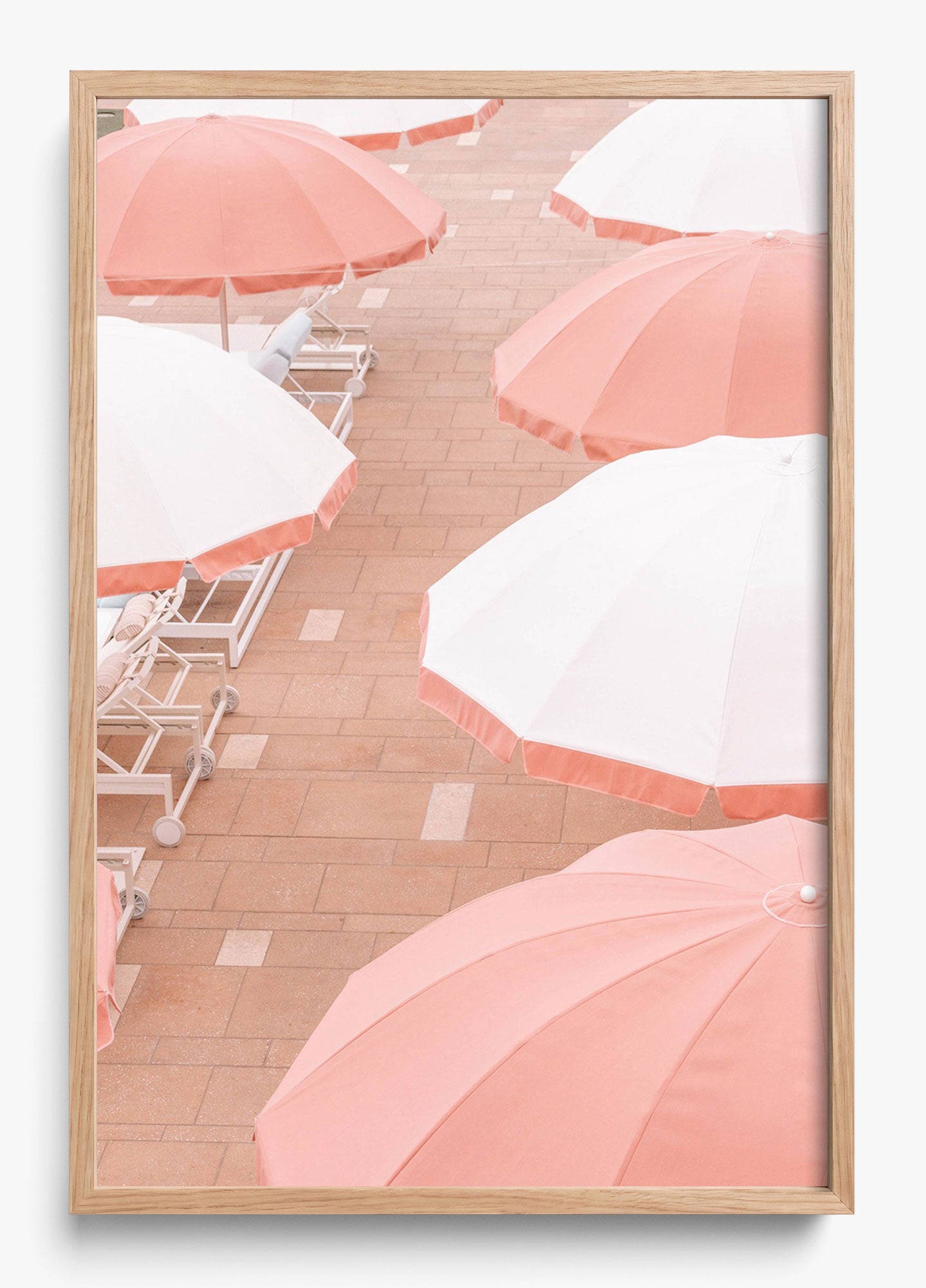 Coral Umbrellas