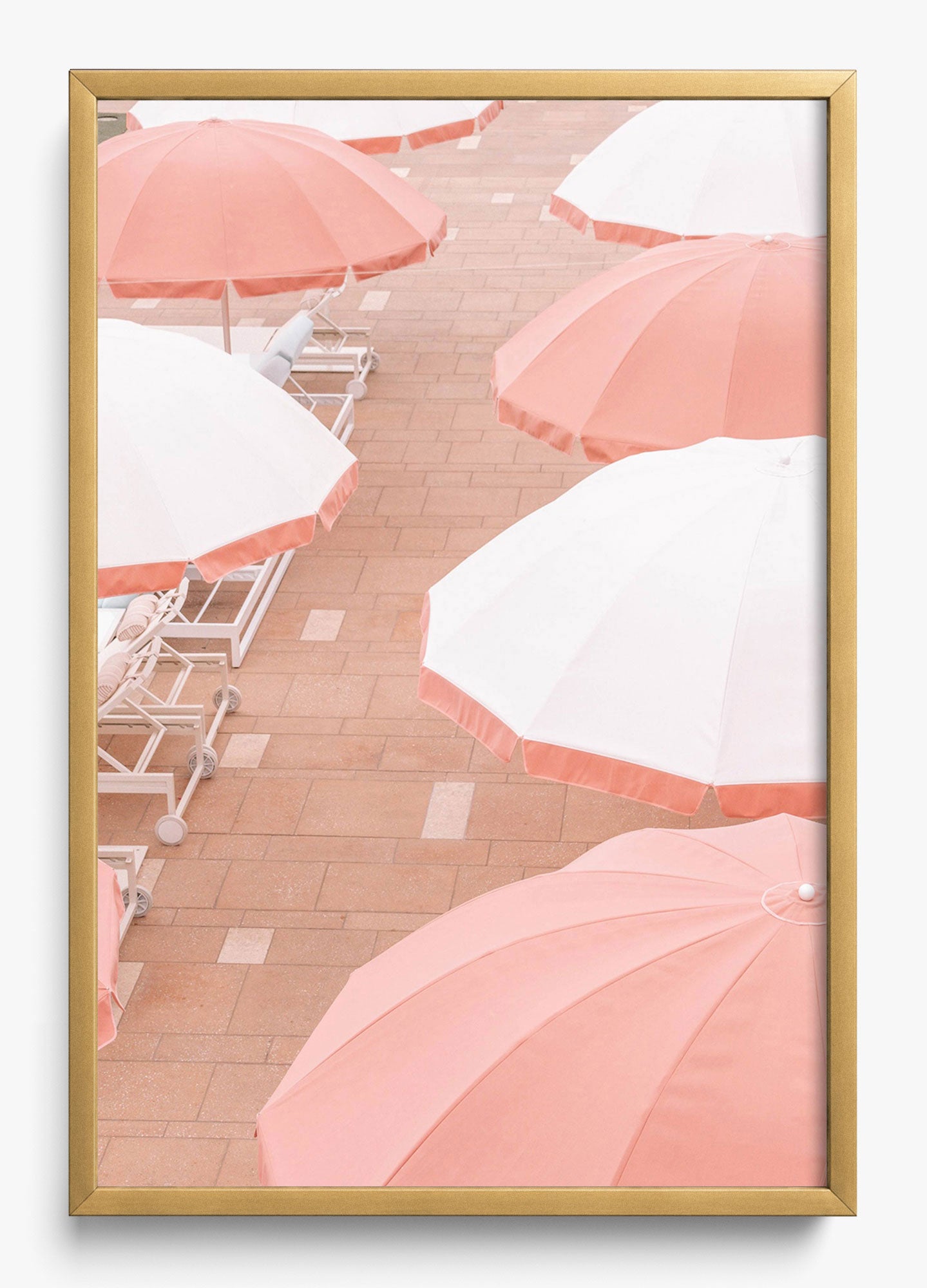 Coral Umbrellas