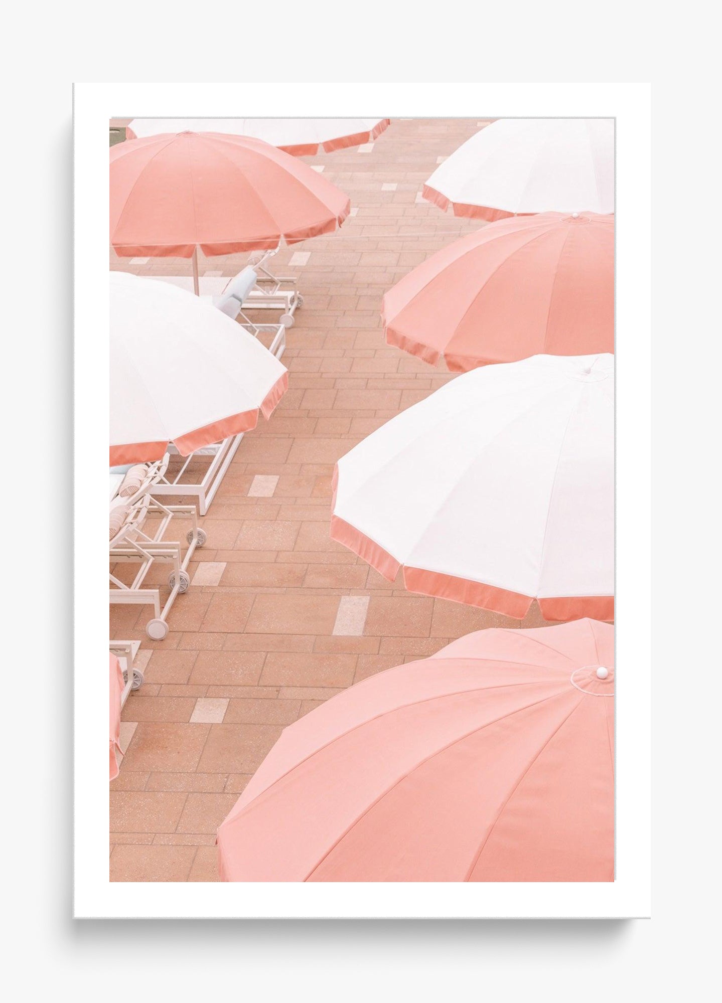 Coral Umbrellas