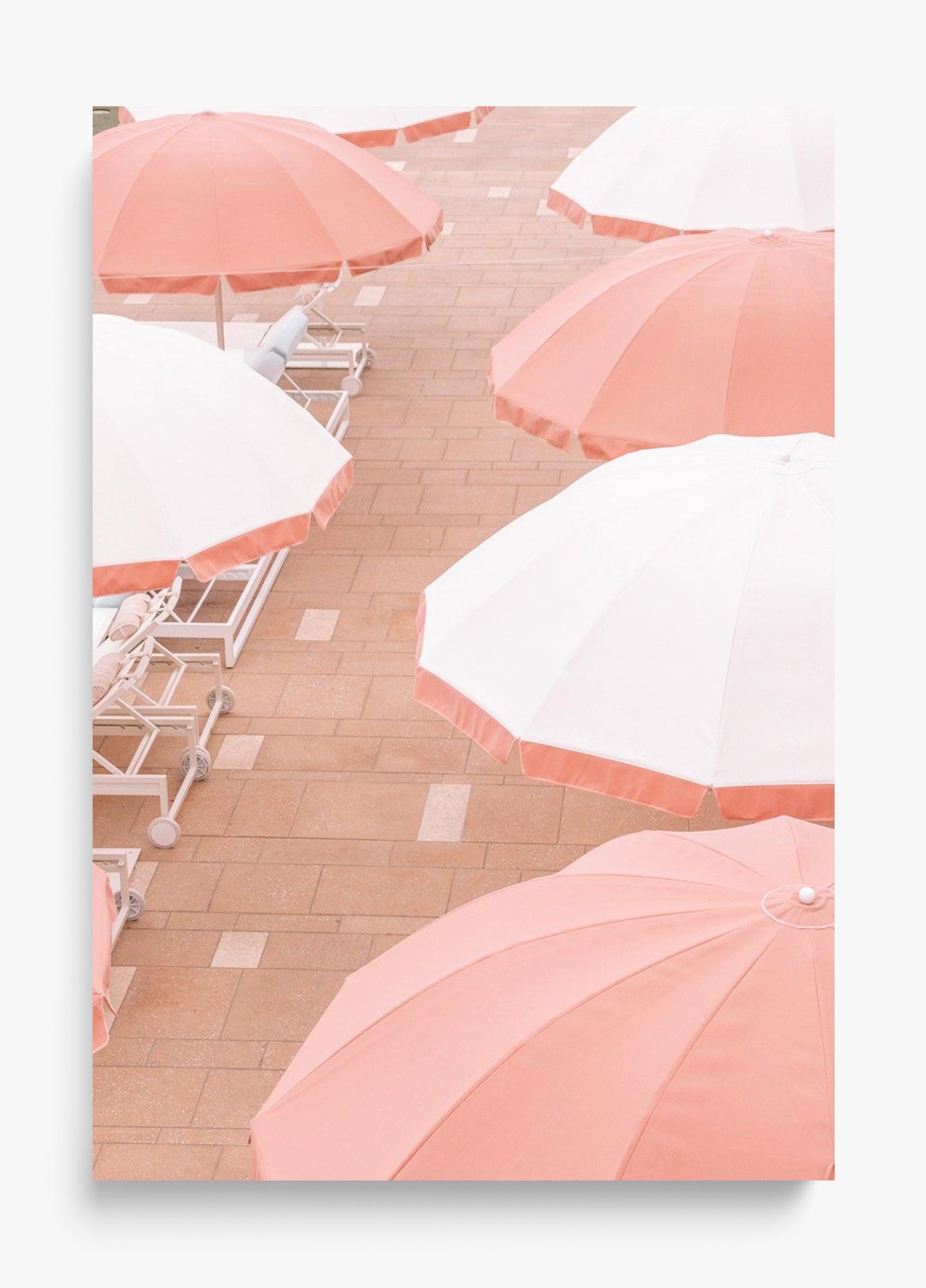 Coral Umbrellas