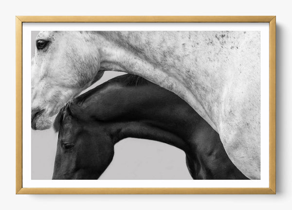Covering in a Gold frame