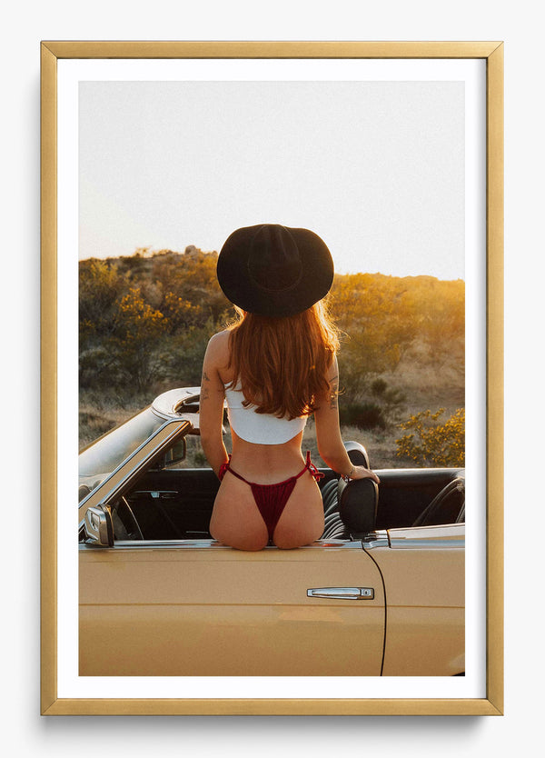 Custom Seats in a Gold frame