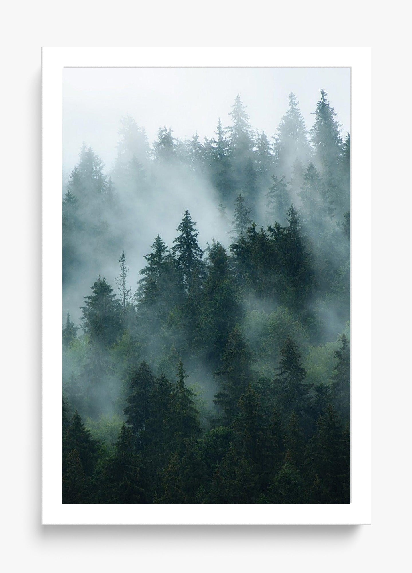 Deep Woods Unframed