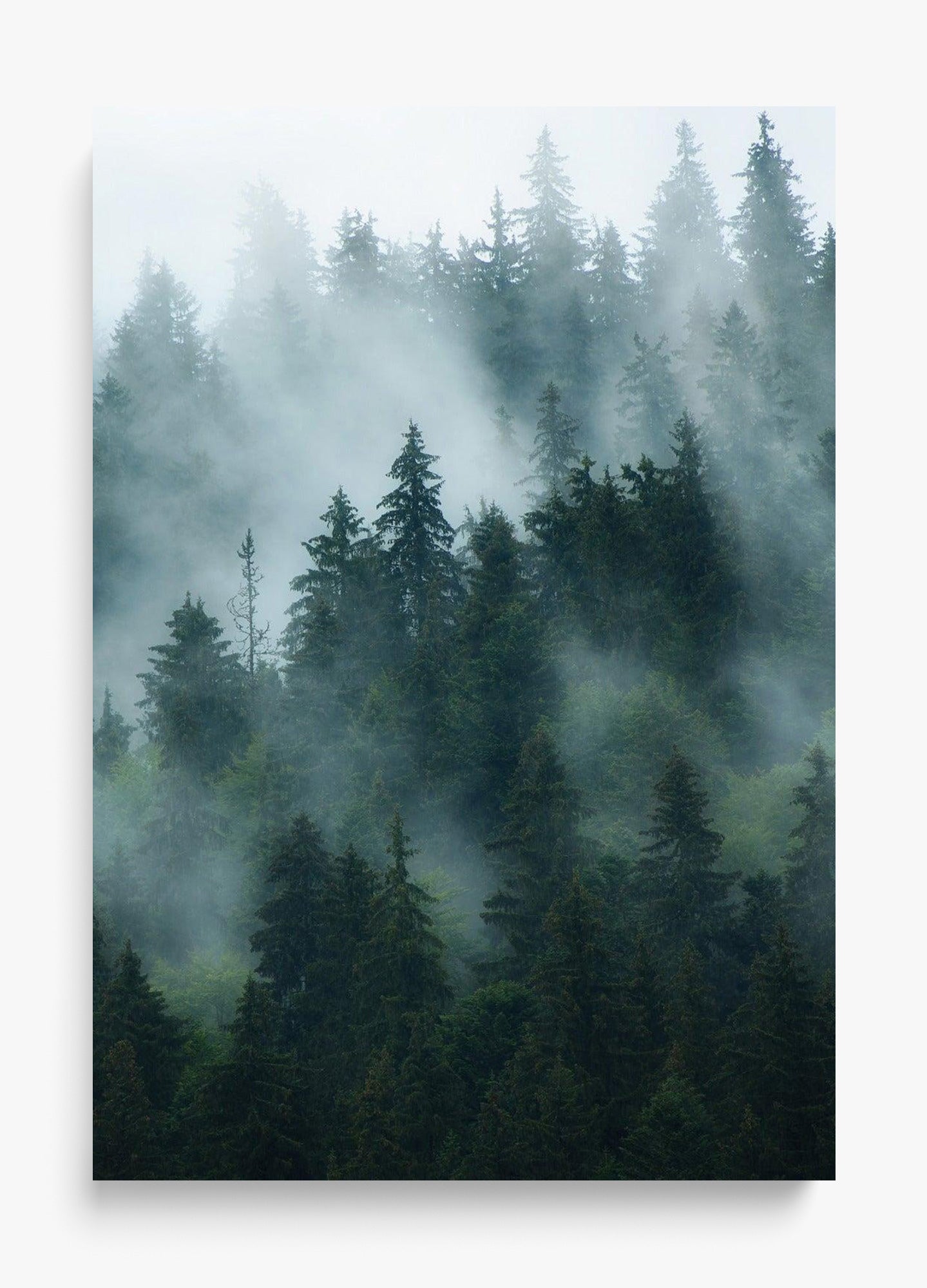 Deep Woods Unframed