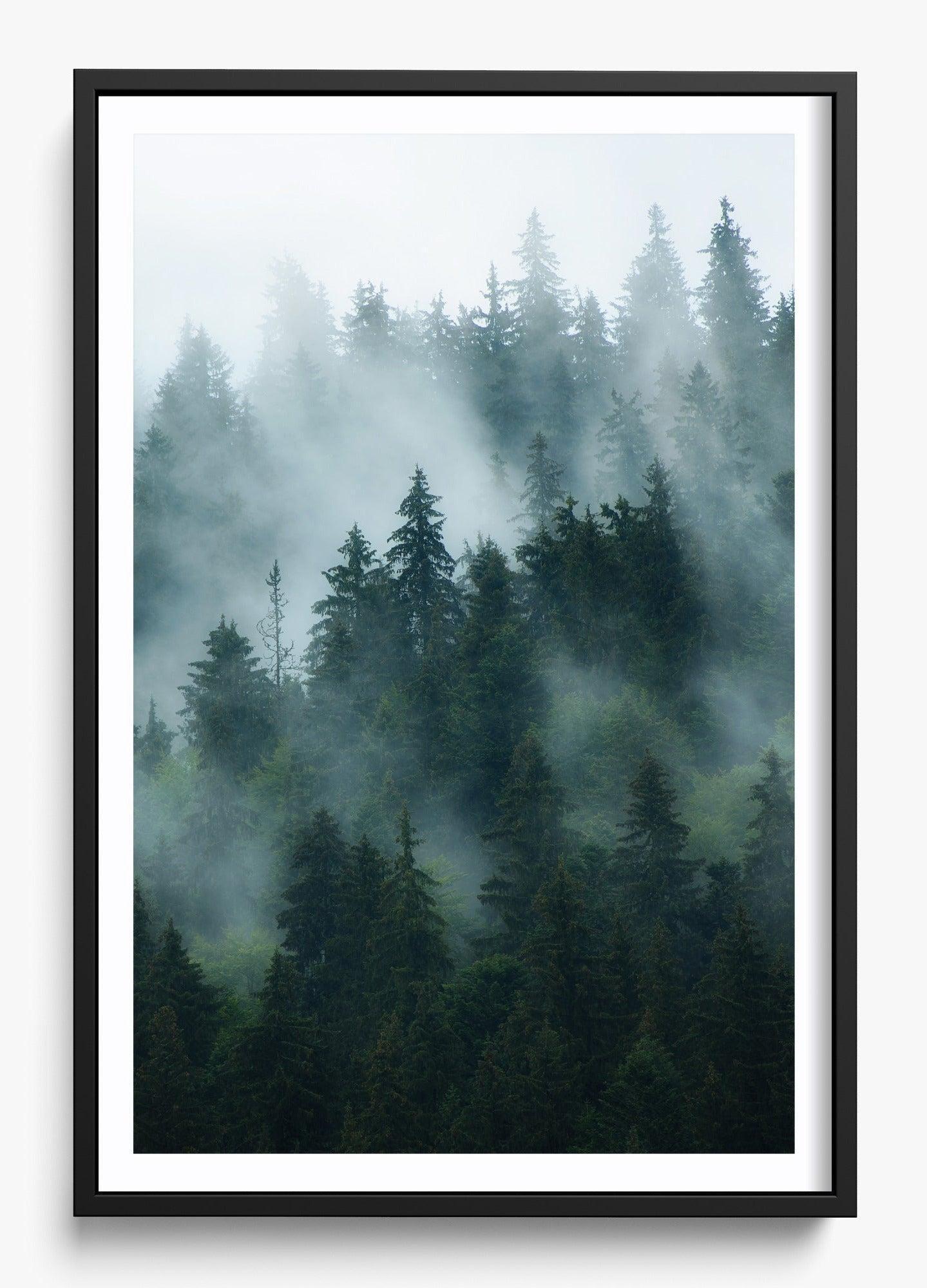 Deep Woods unframed fine art print