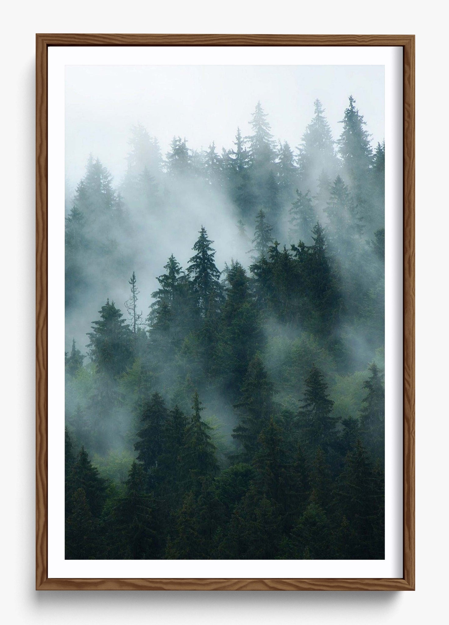 Deep Woods