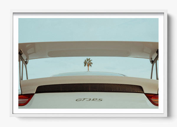 Spoiler Alert in a White frame