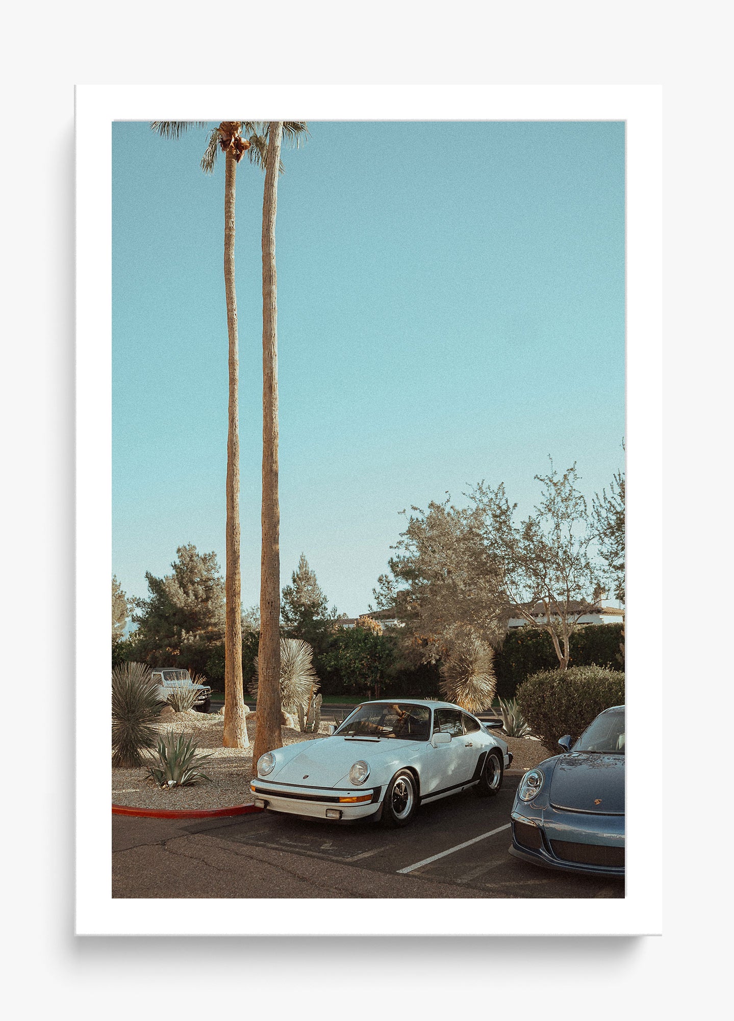 Wait In Palm Springs
