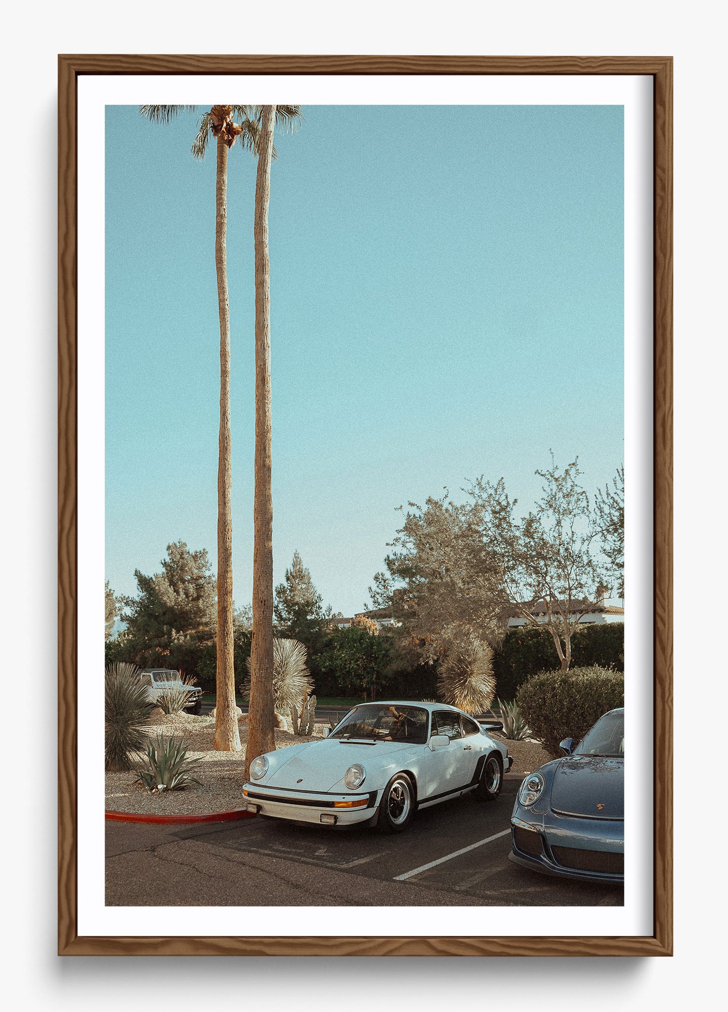Wait In Palm Springs