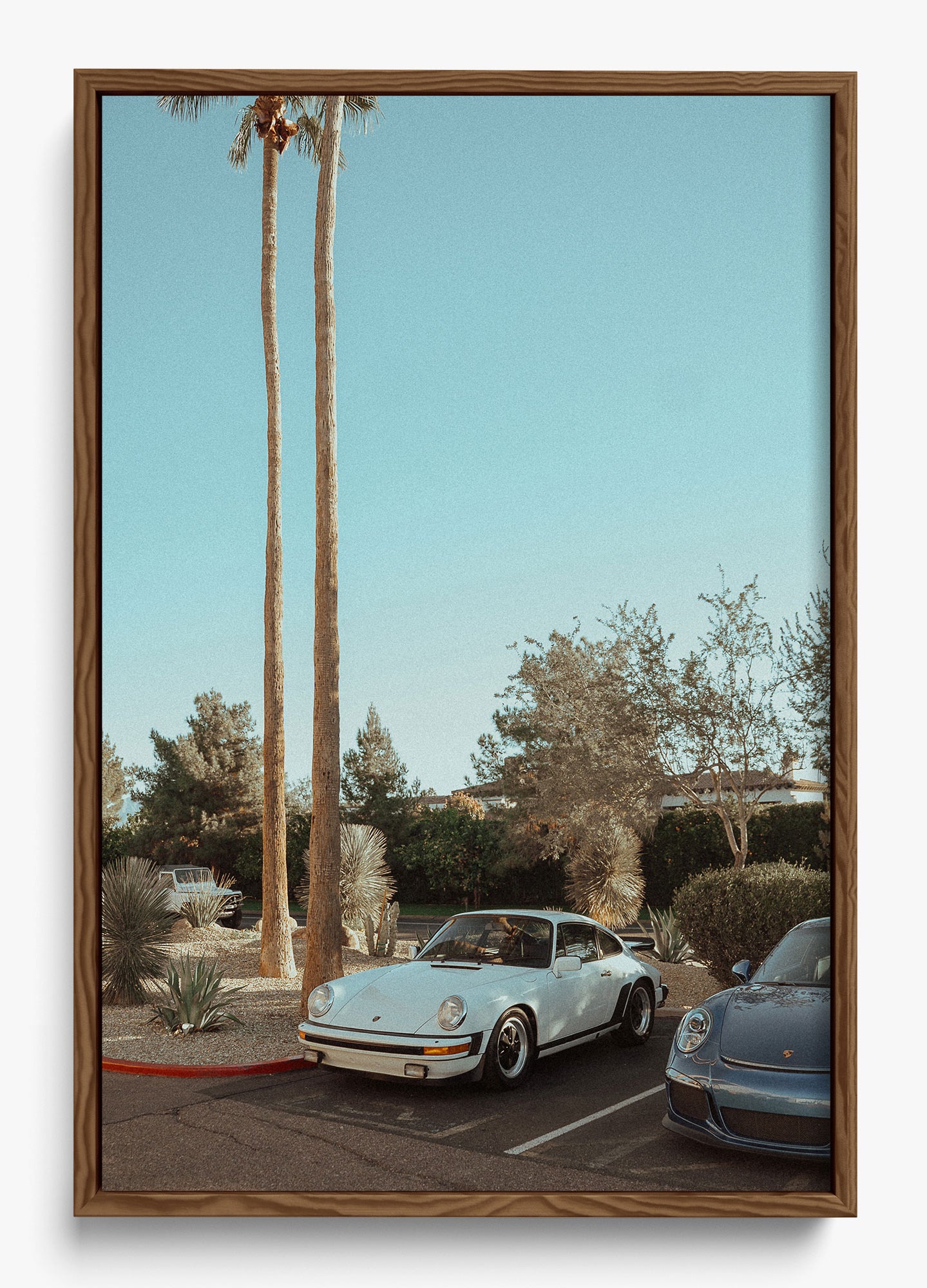 Wait In Palm Springs