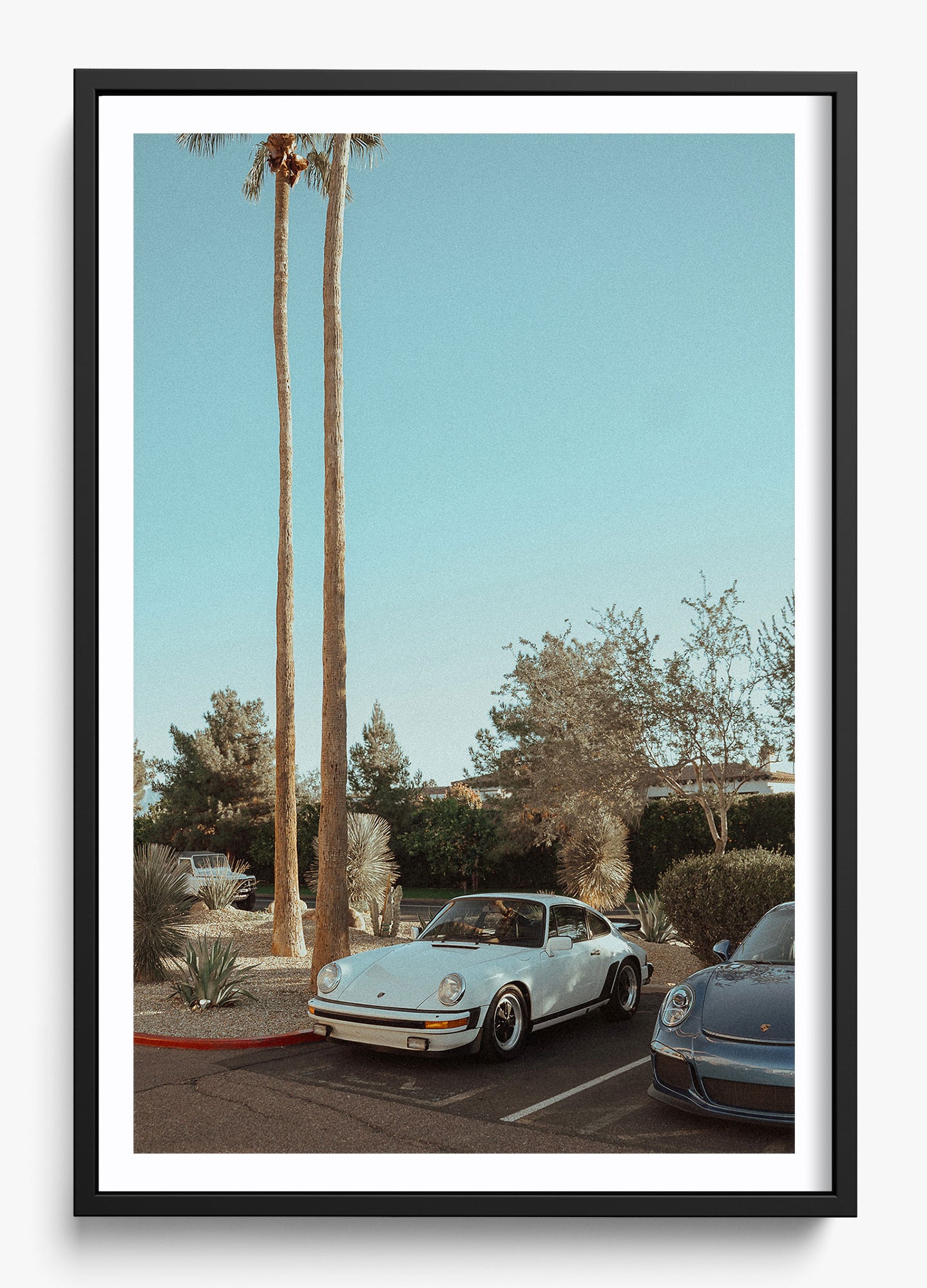 Wait In Palm Springs