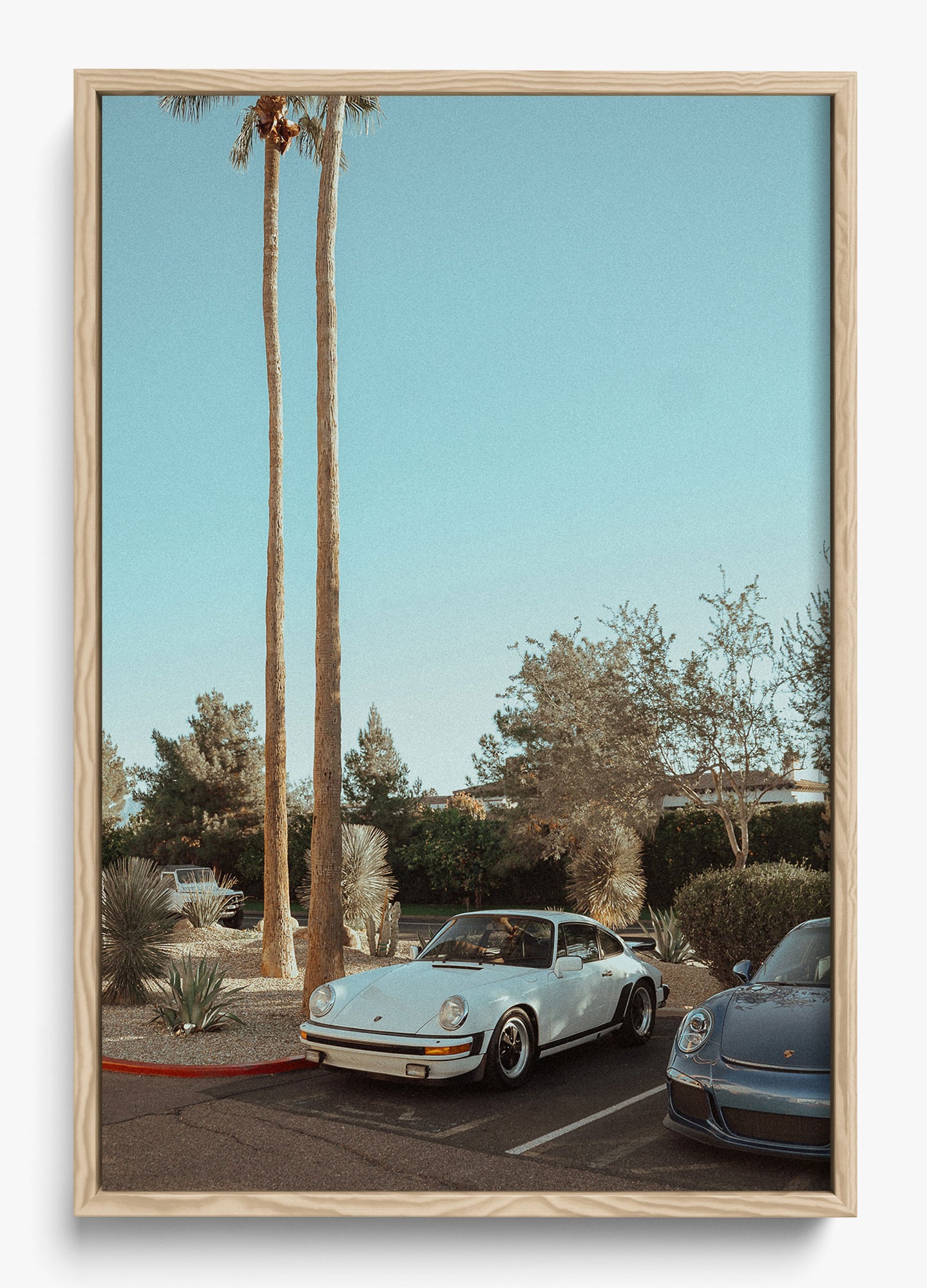Wait In Palm Springs