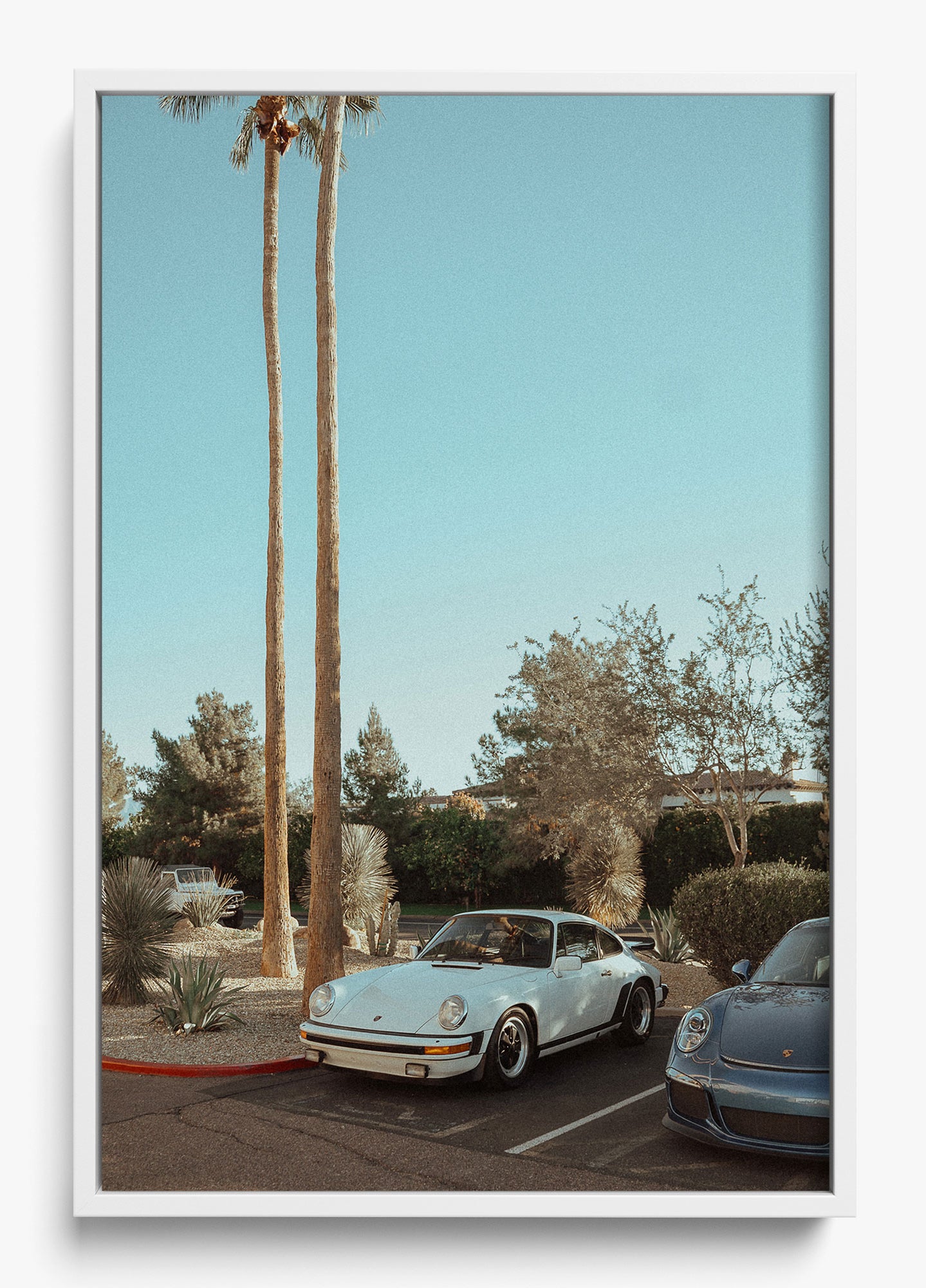 Wait In Palm Springs