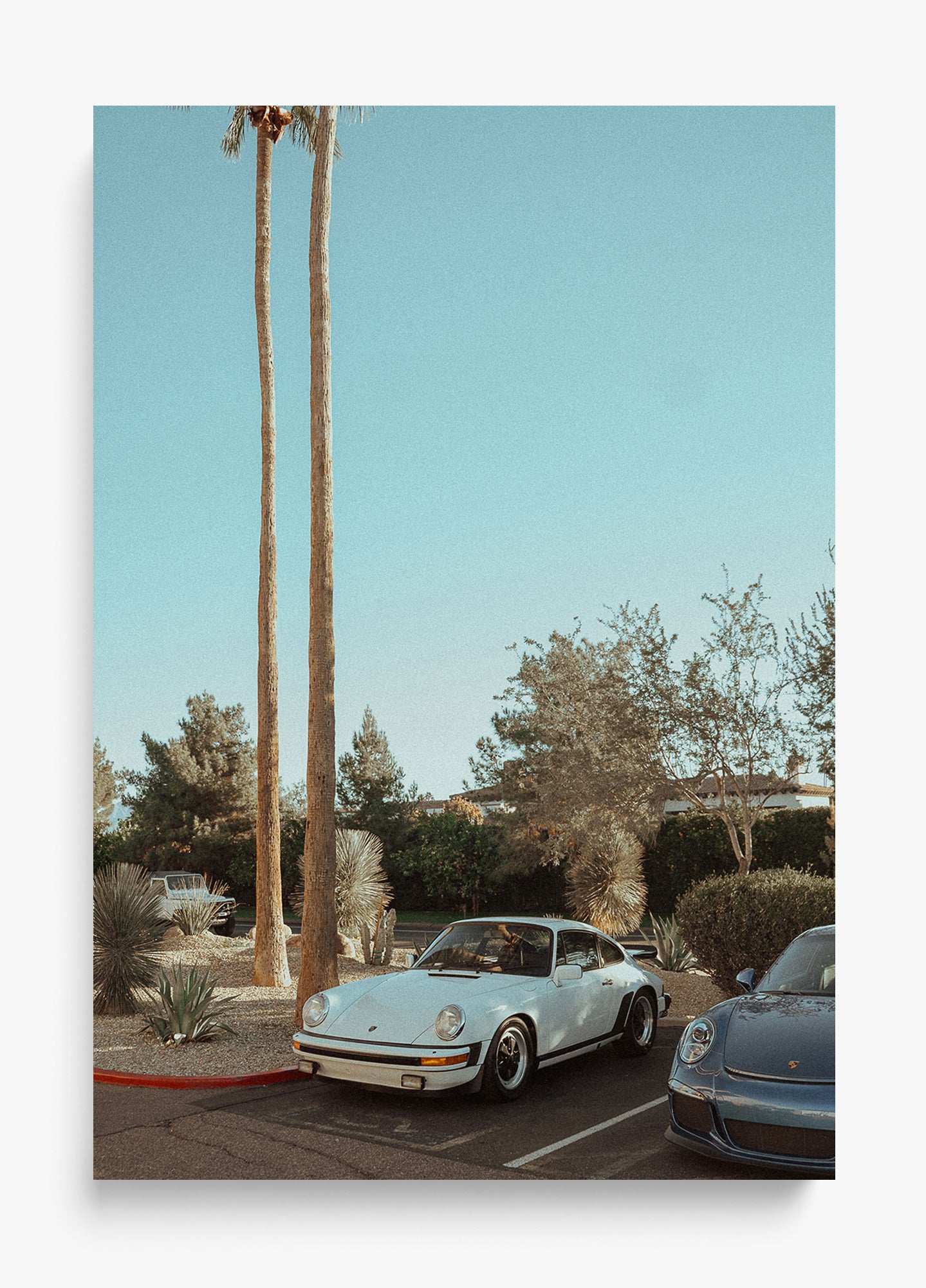Wait In Palm Springs