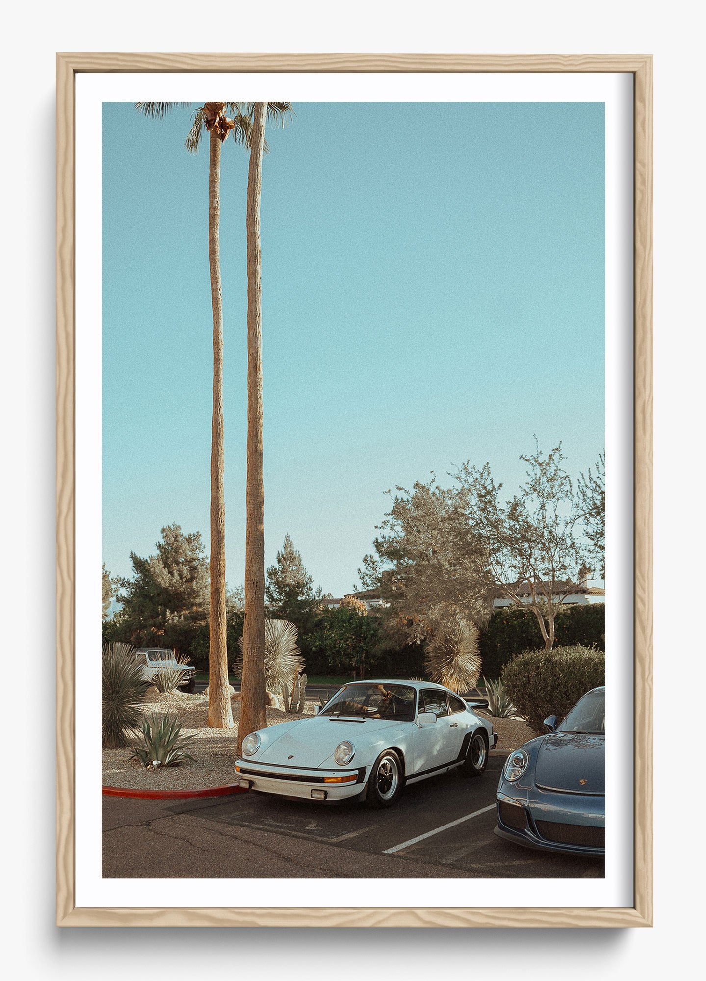 Wait In Palm Springs