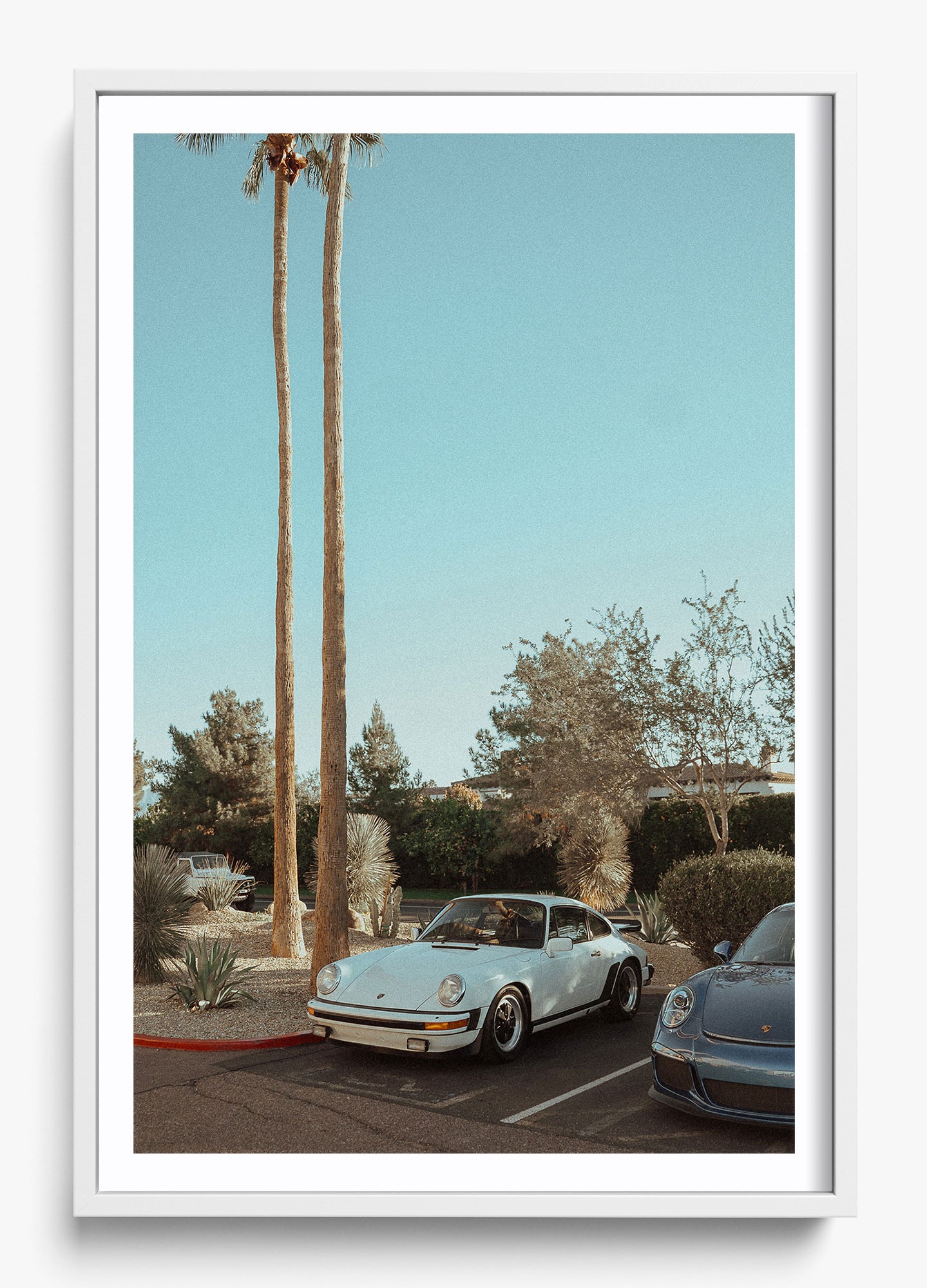 Wait In Palm Springs