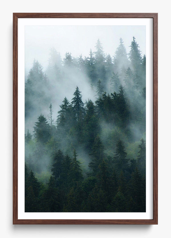 Deep Woods in a Heritage Walnut frame