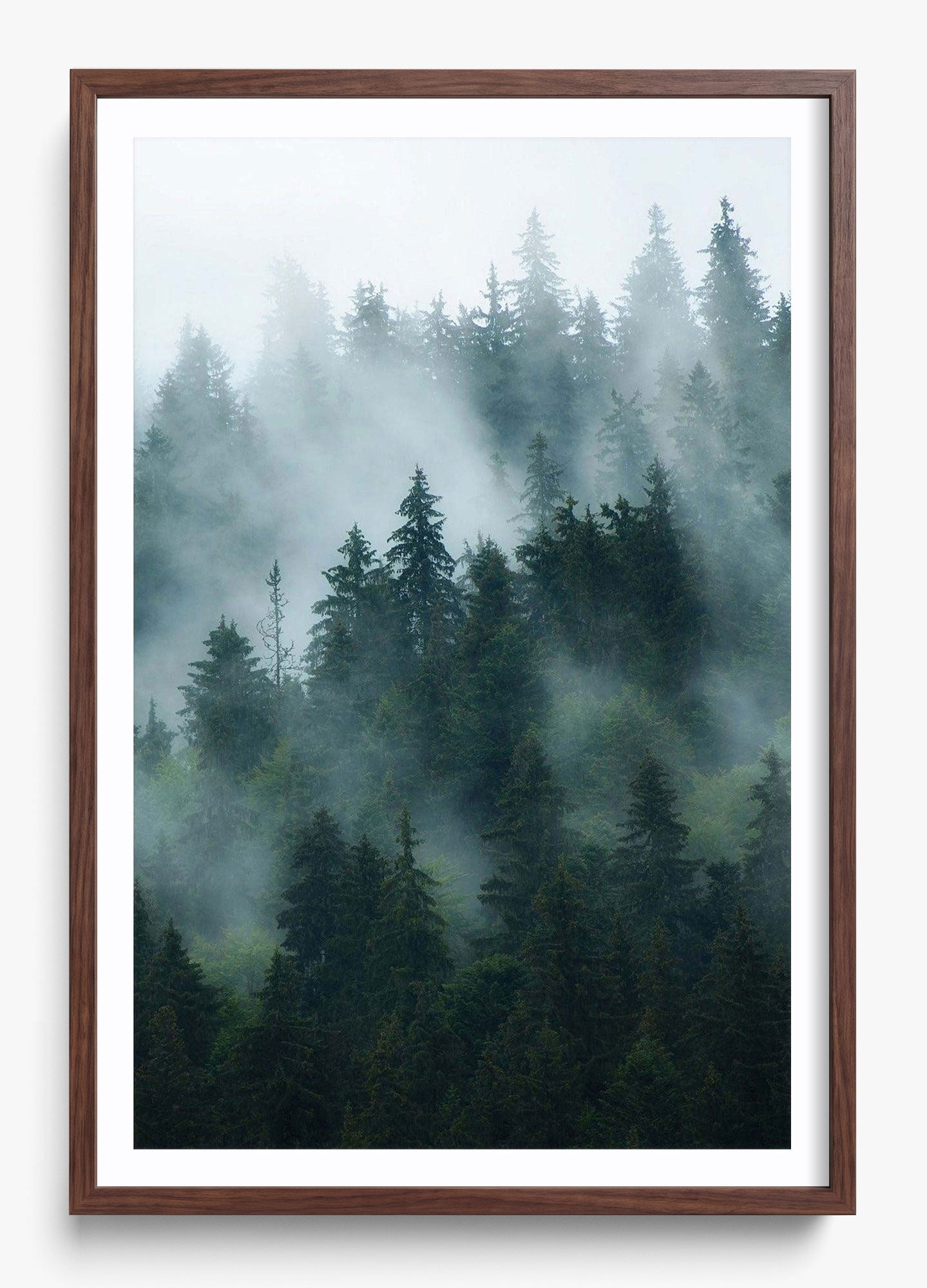 Deep Woods