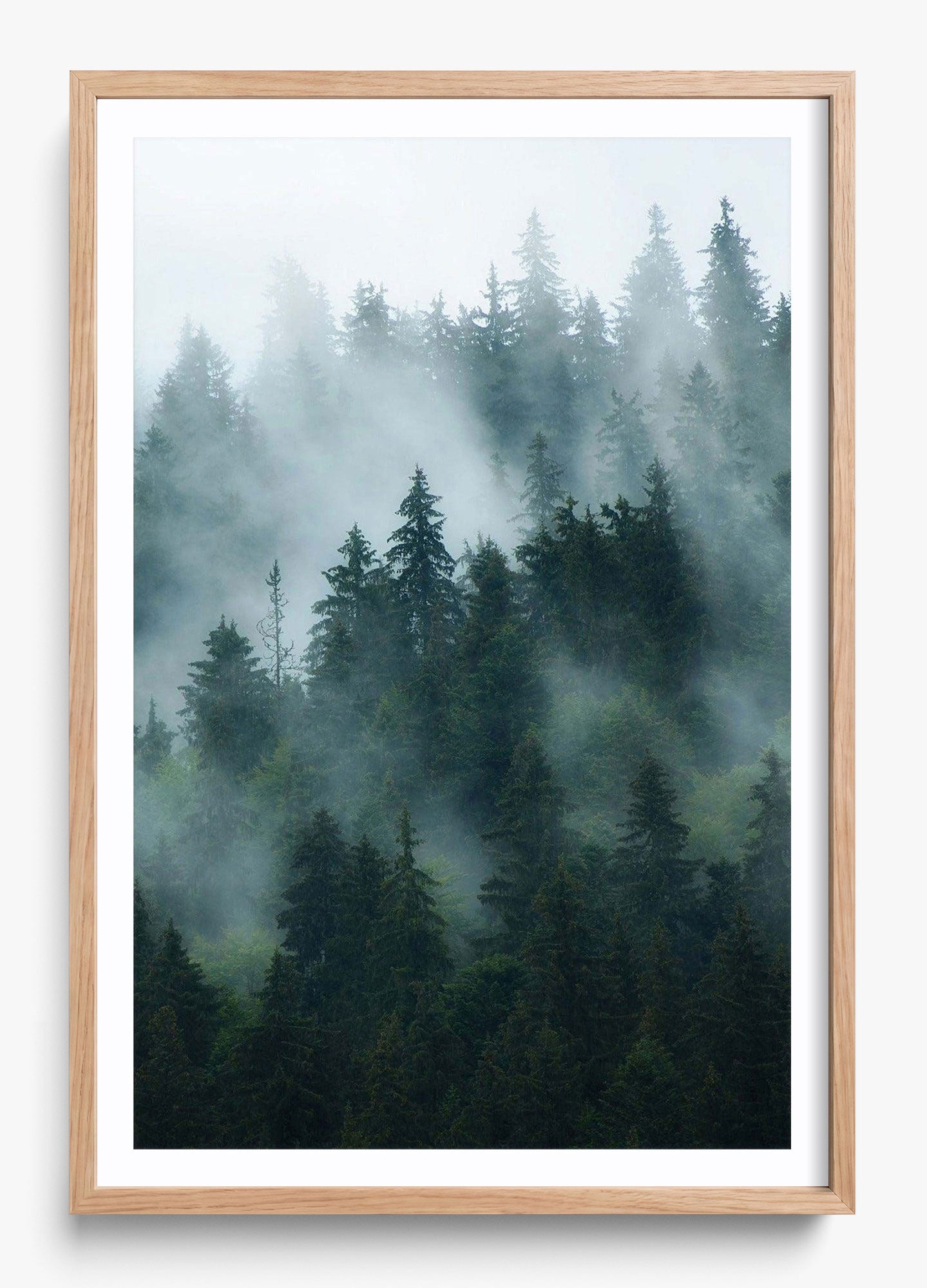 Deep Woods