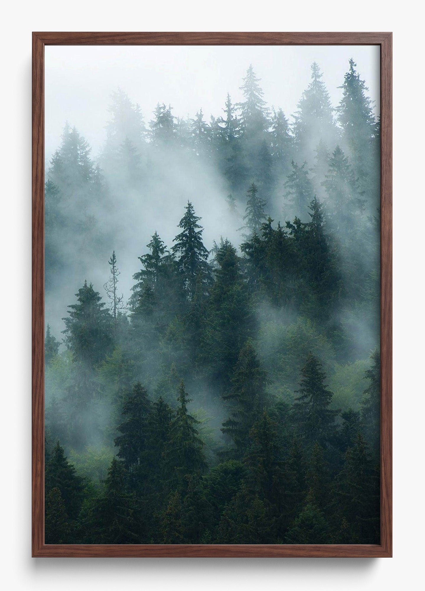 Deep Woods