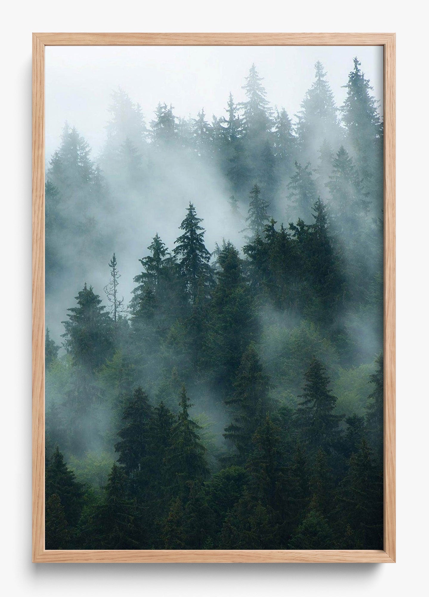 Deep Woods