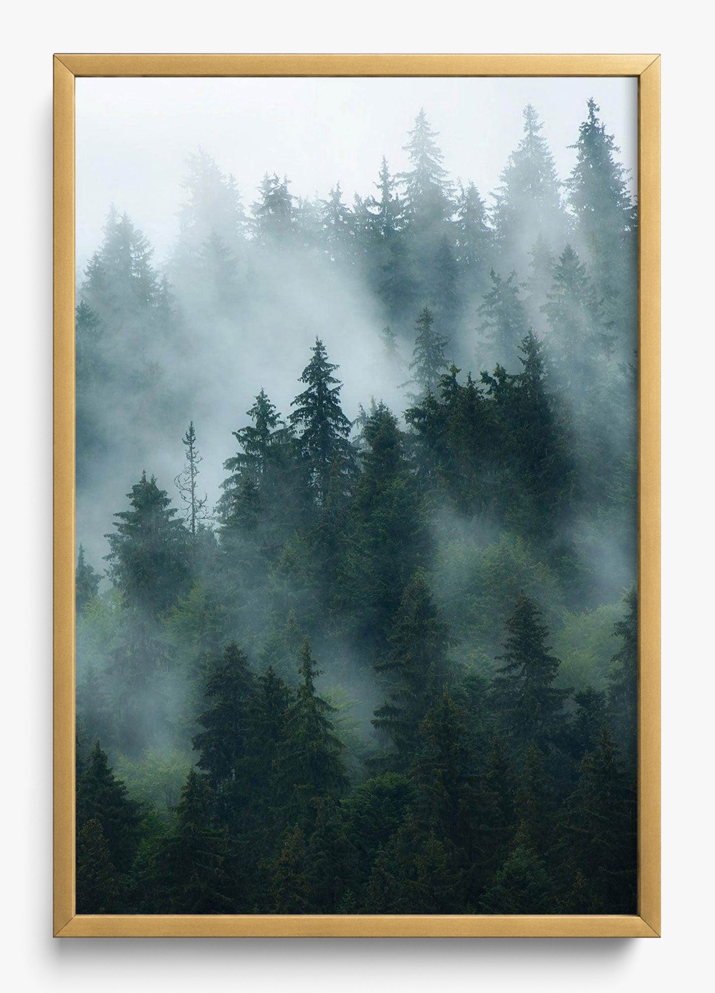 Deep Woods