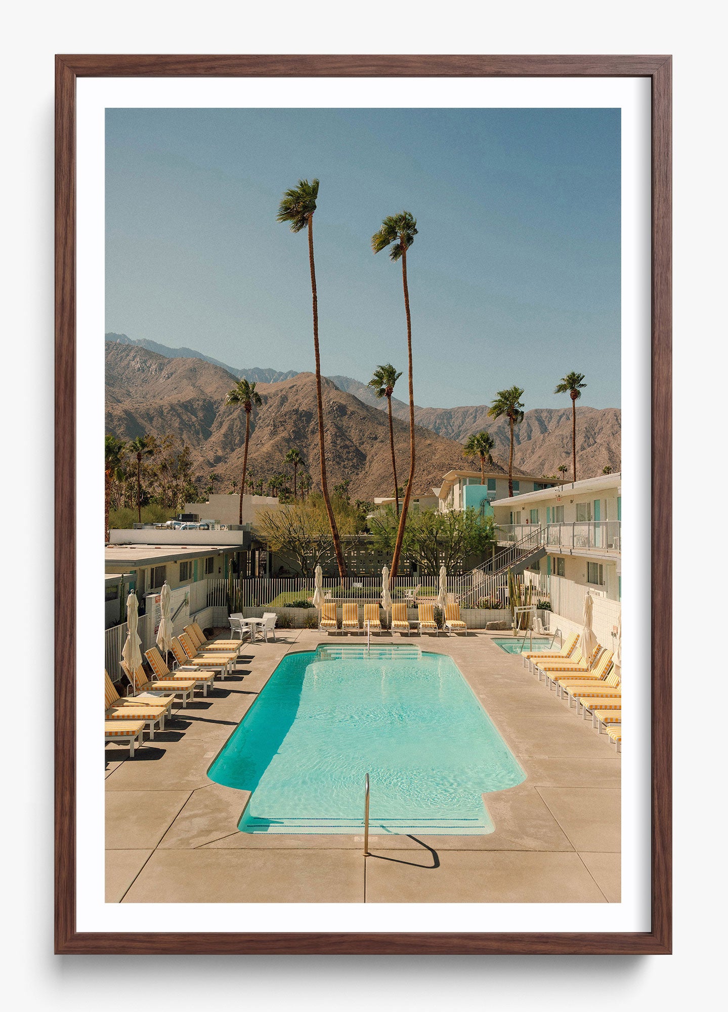 Desert Pool
