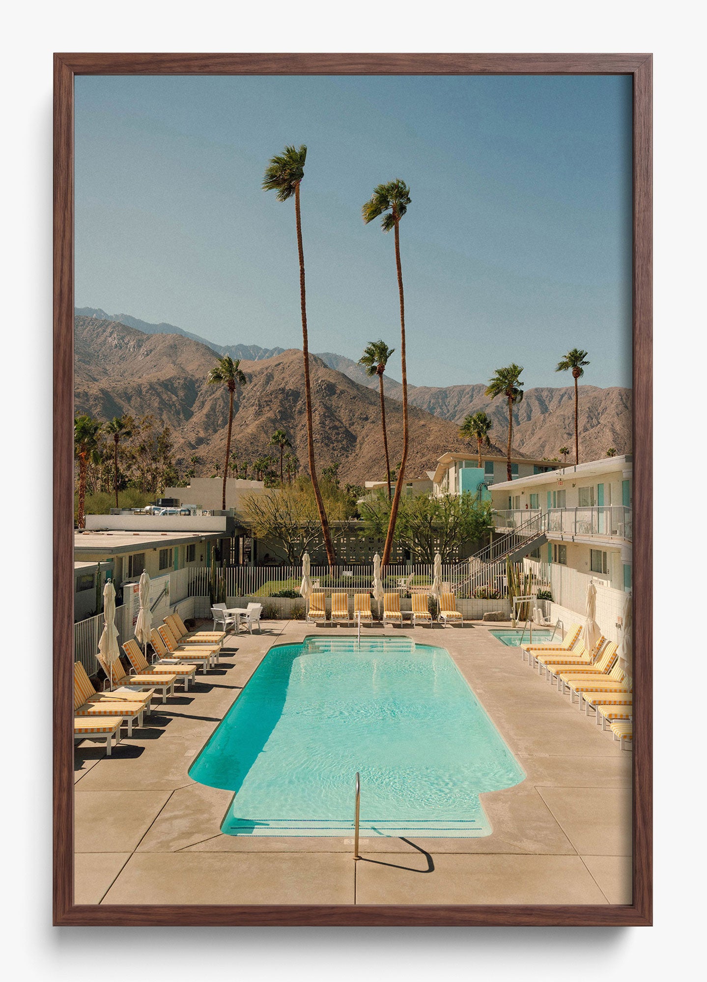 Desert Pool