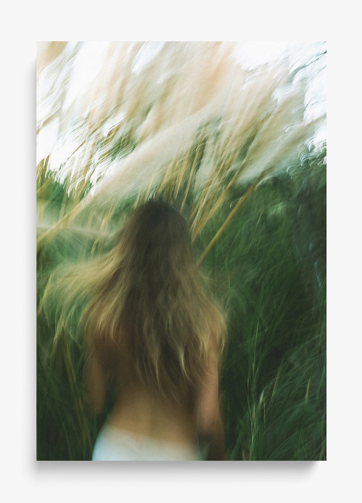 Dream Of Summer