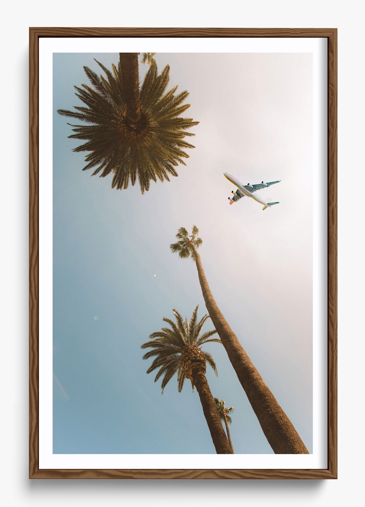 Come Fly With Me