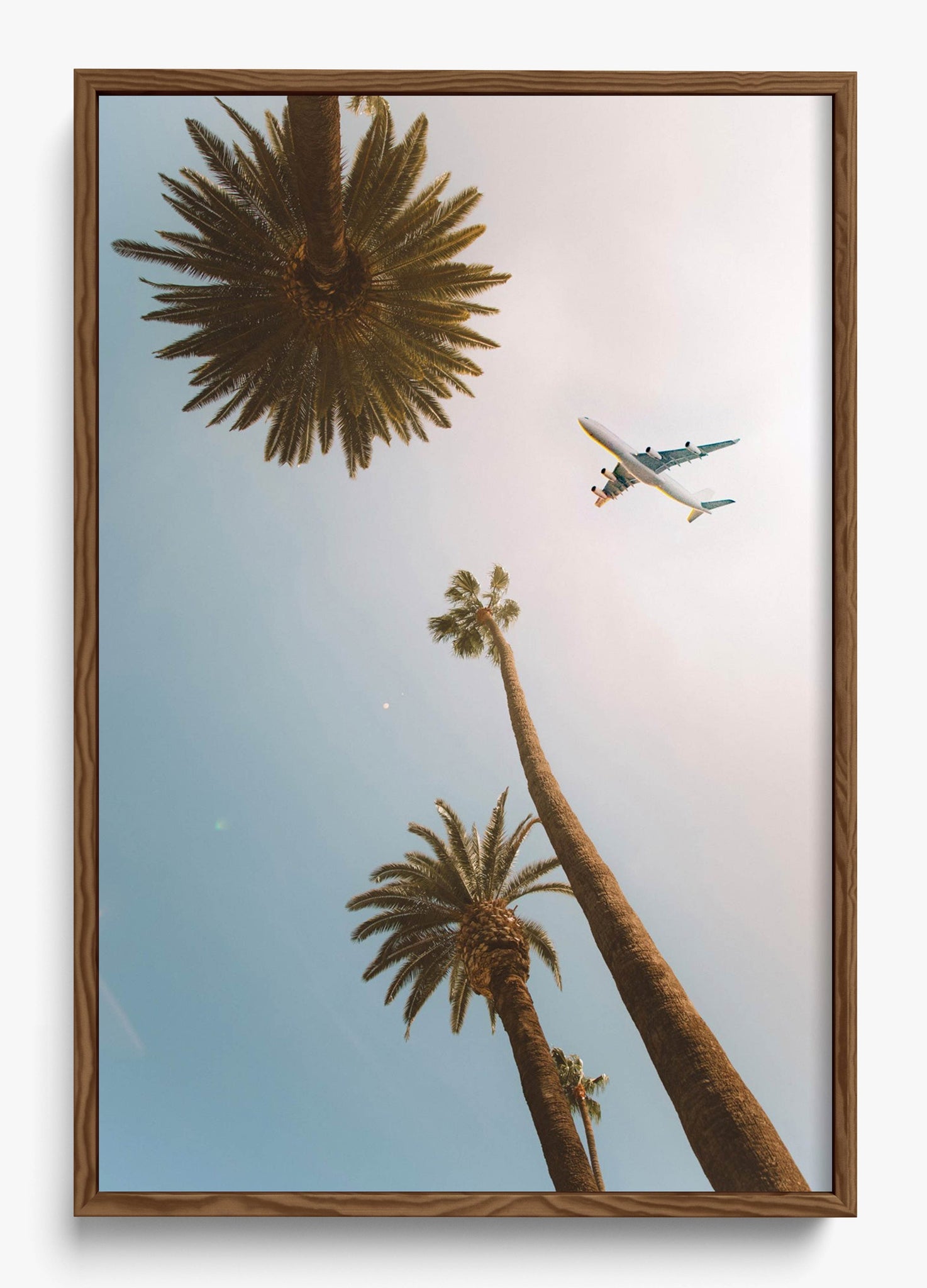 Come Fly With Me