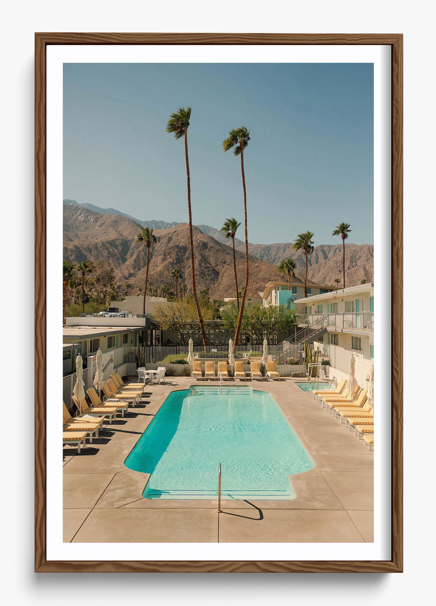 Desert Pool