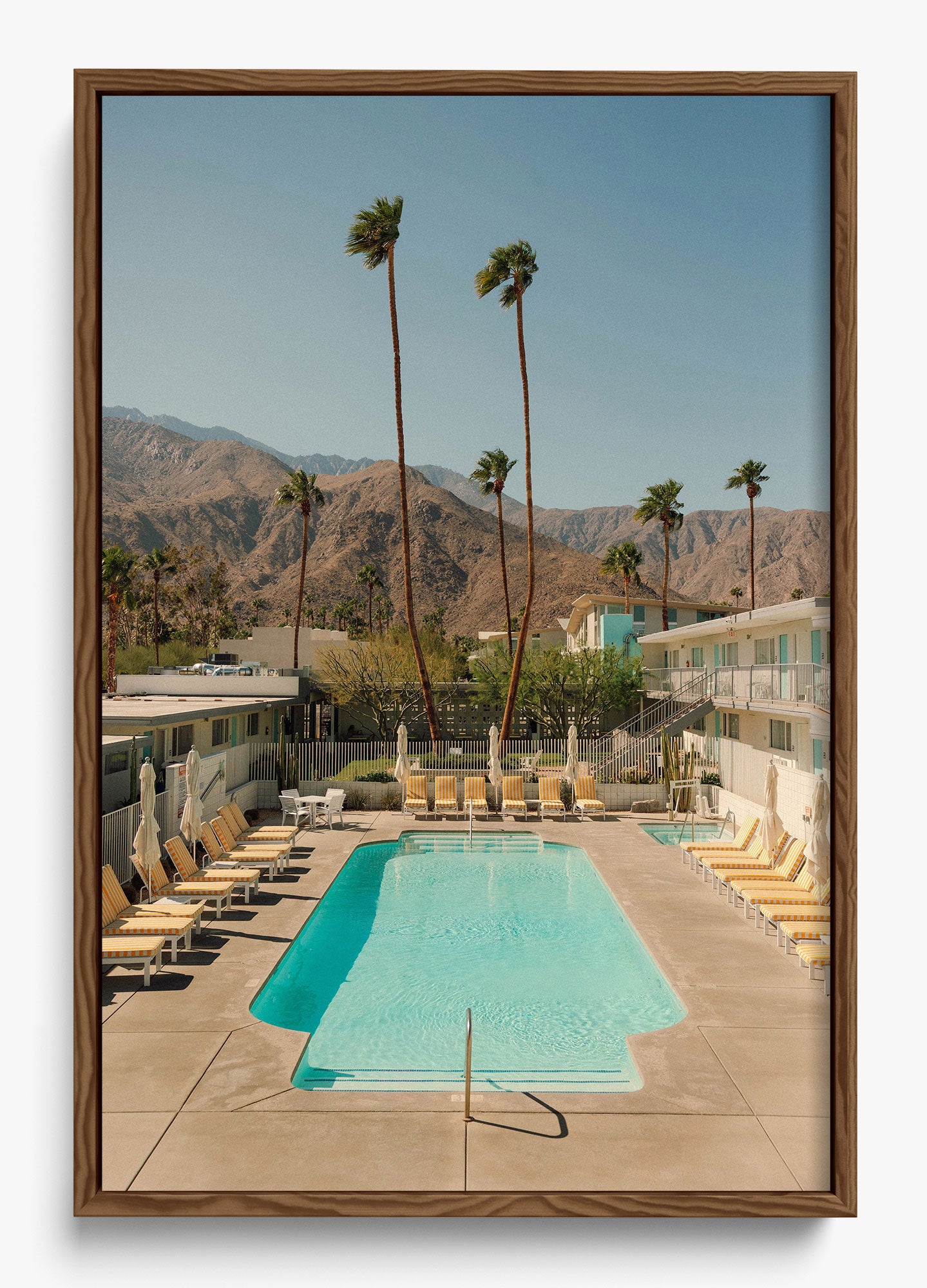 Desert Pool