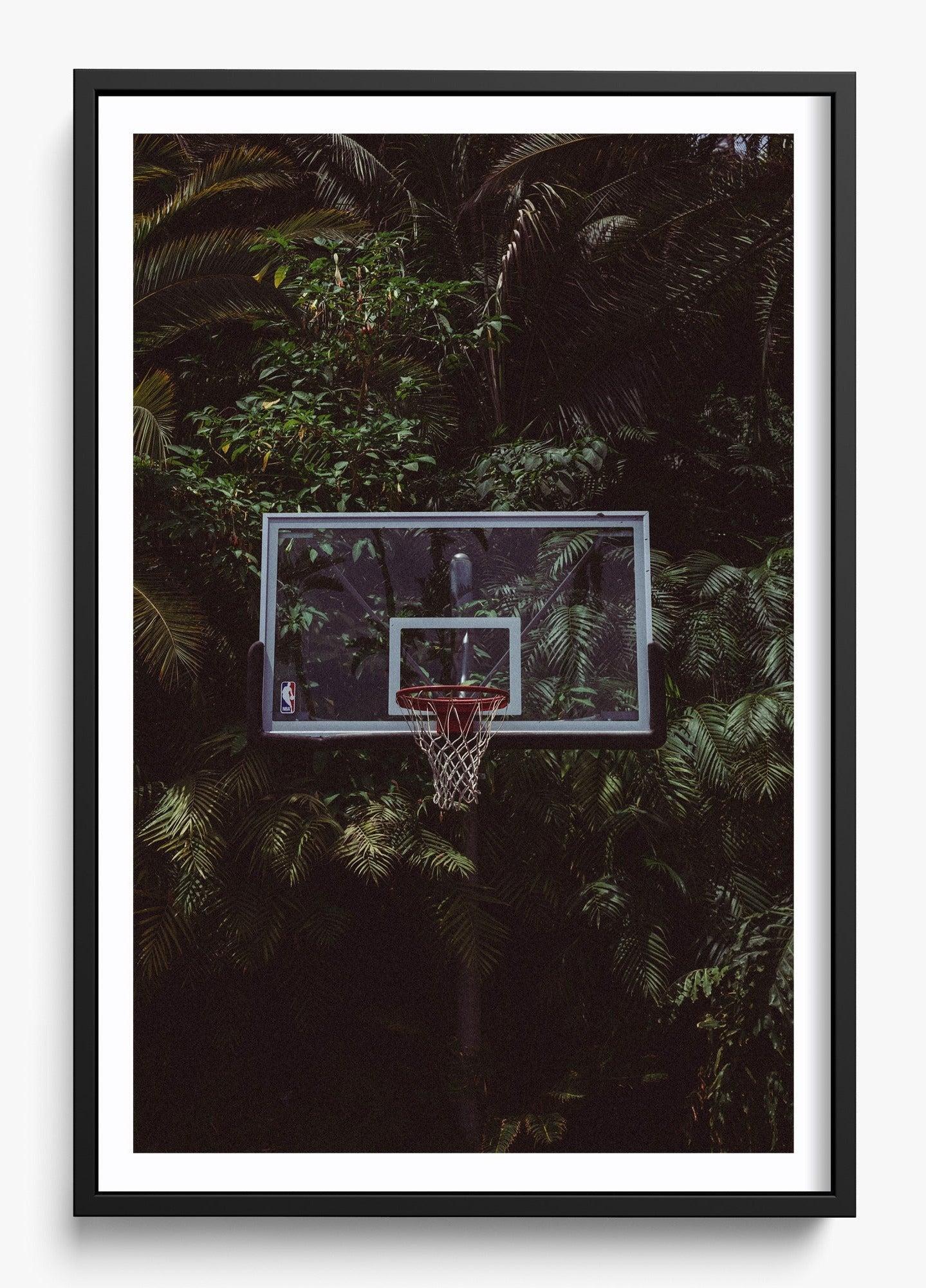 Home Grown unframed fine art print