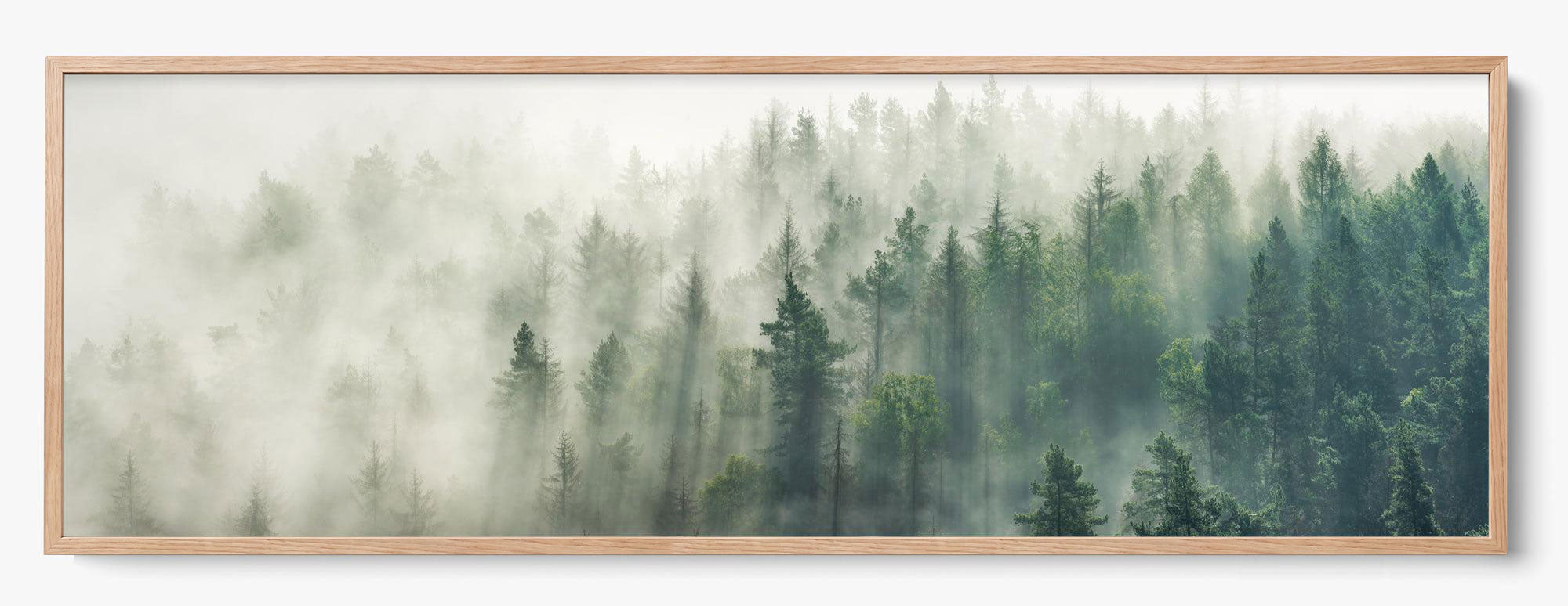 Foggy Pines