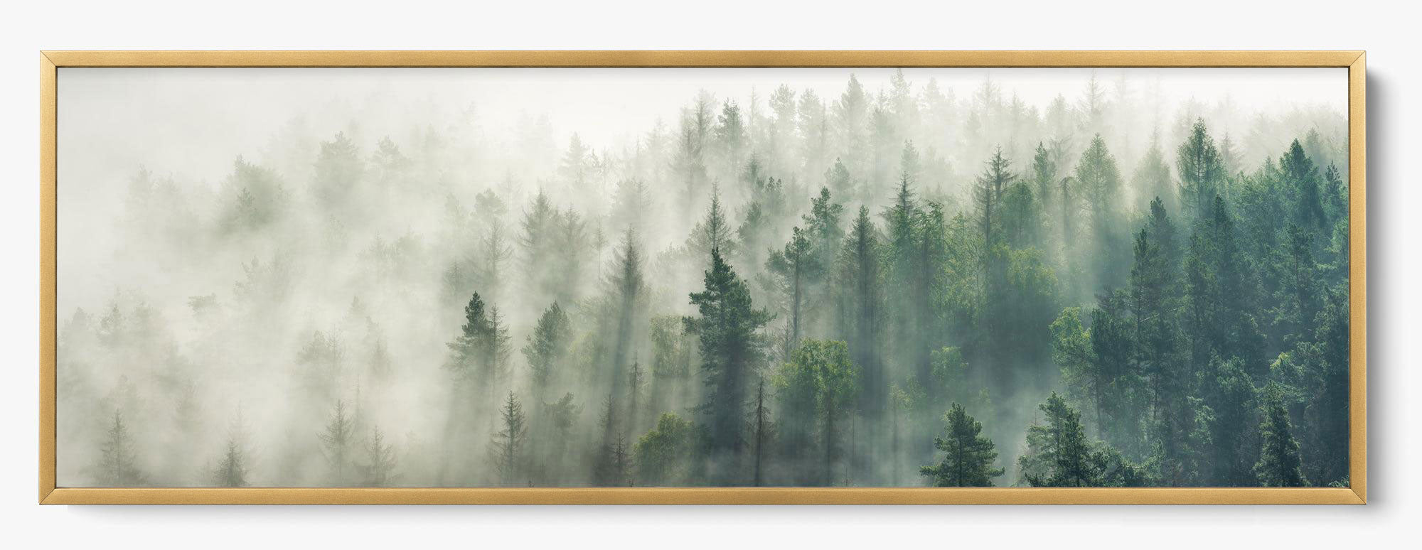Foggy Pines