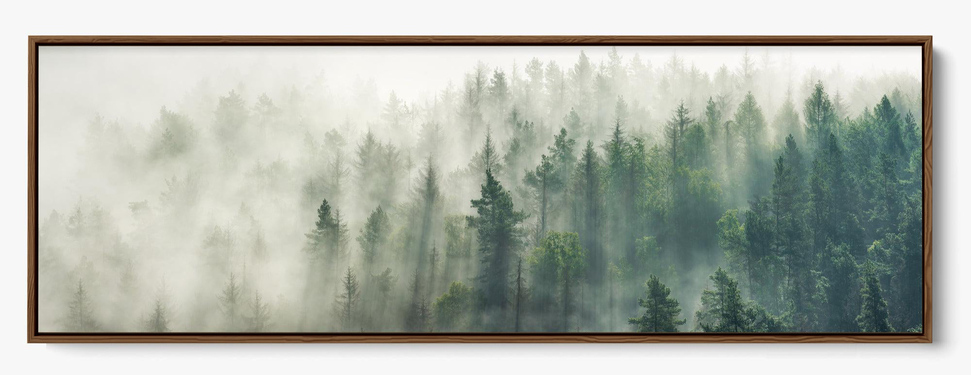 Foggy Pines
