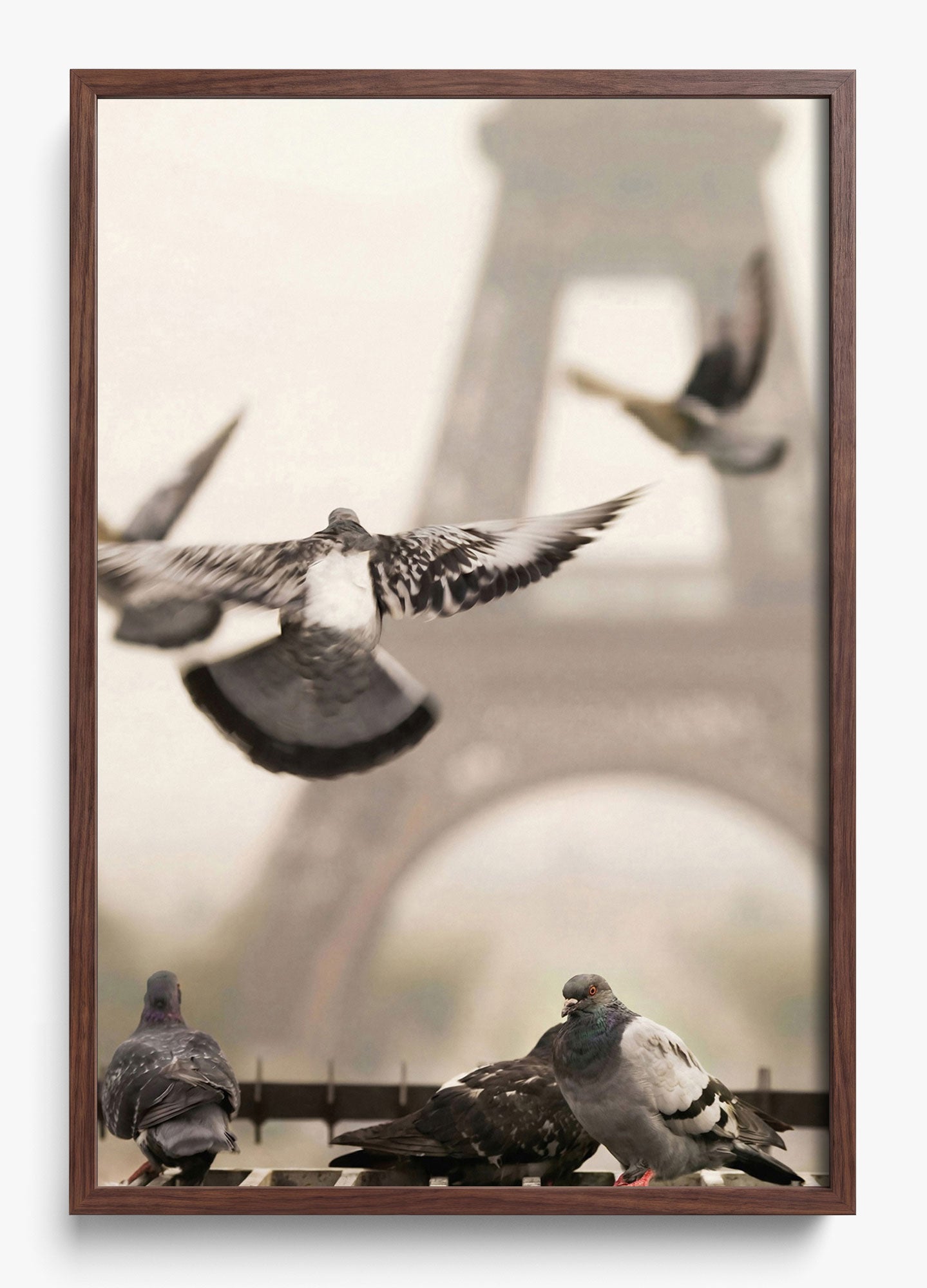 Good Morning Paris