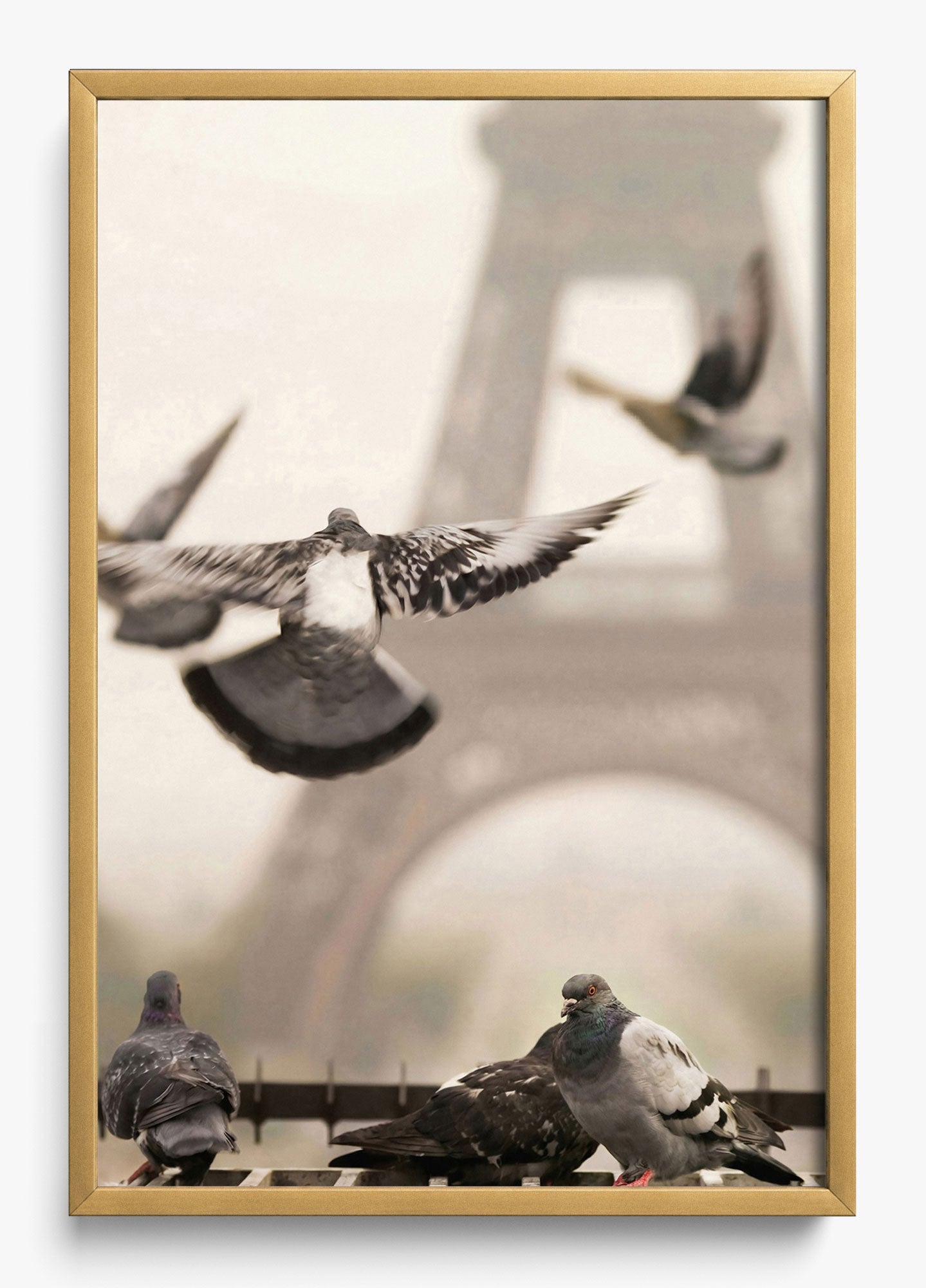 Good Morning Paris