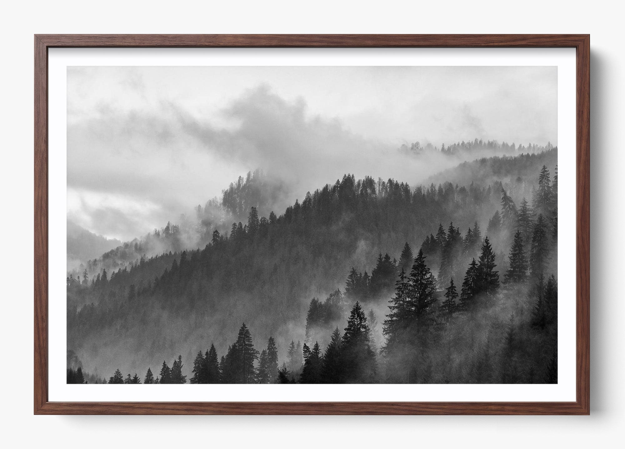 Grey Mountain