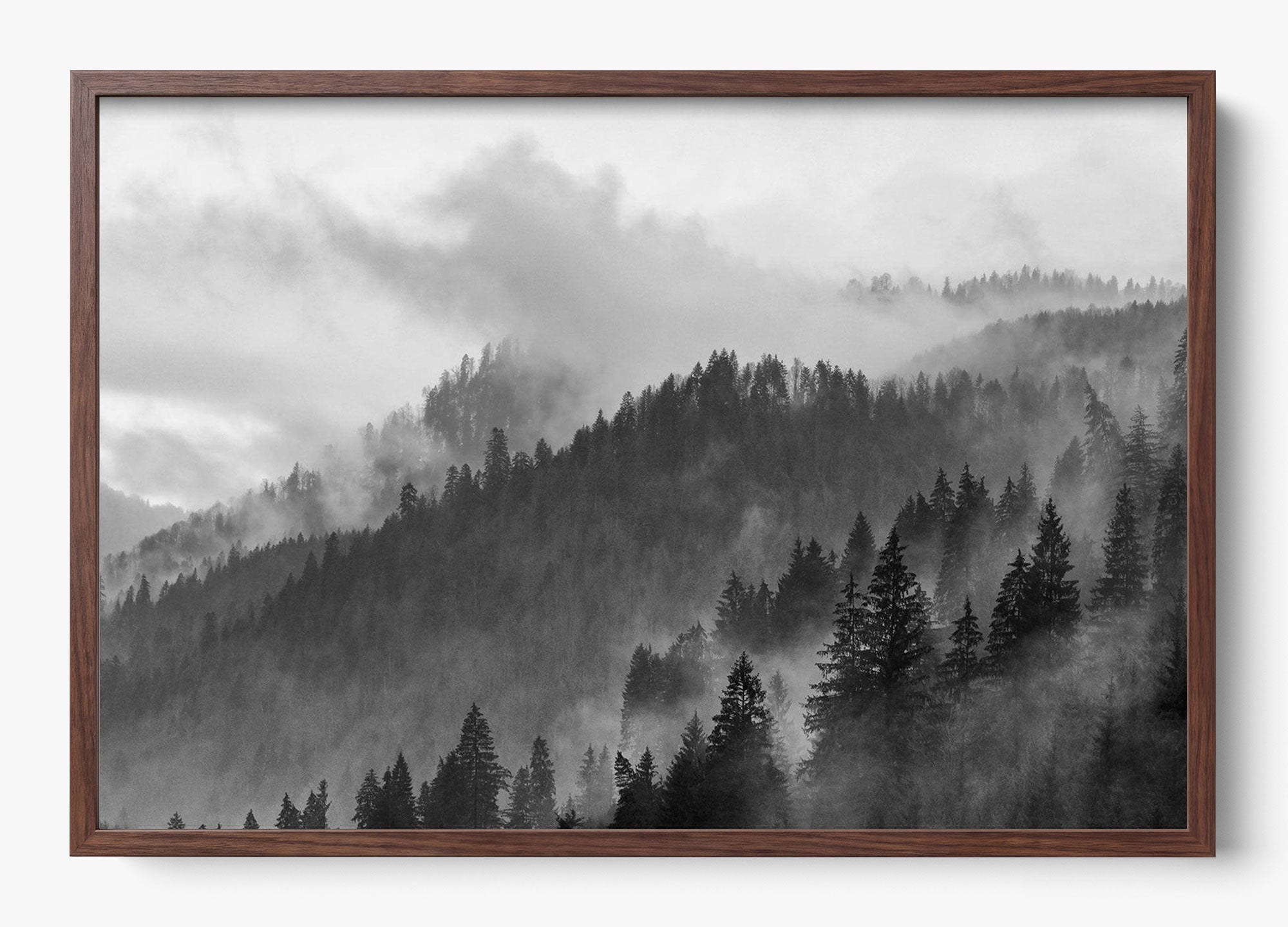 Grey Mountain